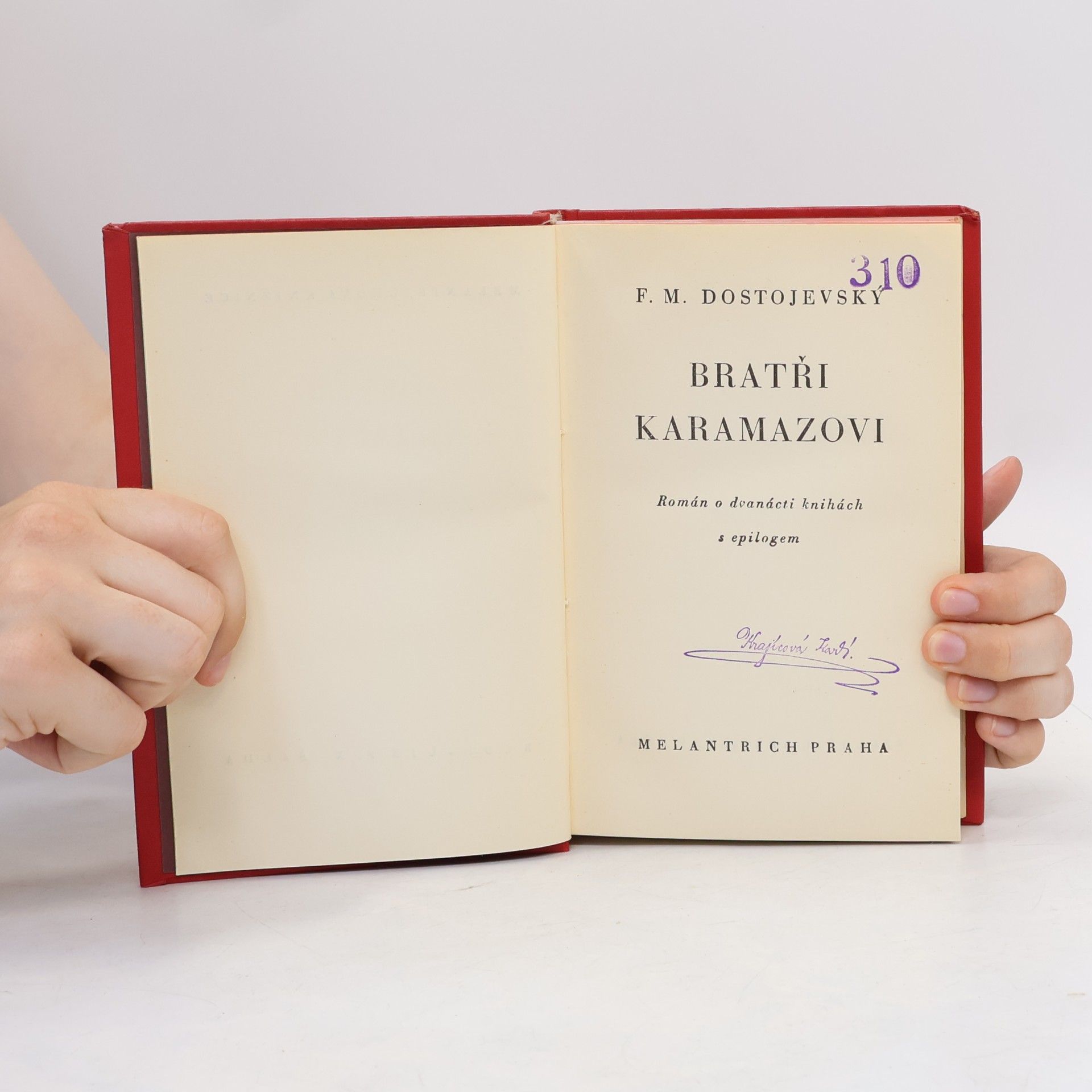 Fyodor Dostoyevsky Bratři Karamazovi II.