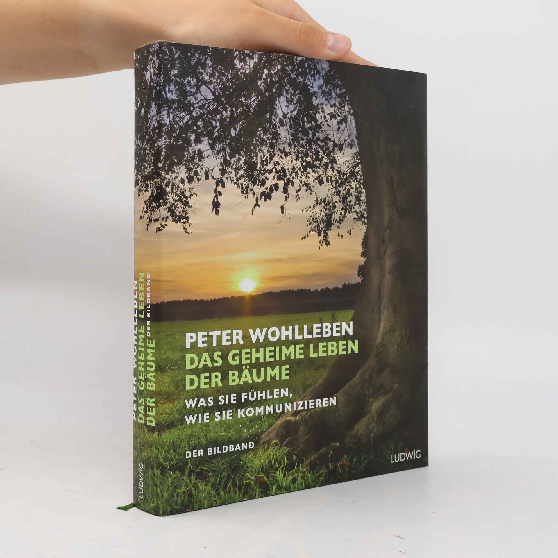 Peter Wohlleben Das geheime Leben der Bäume