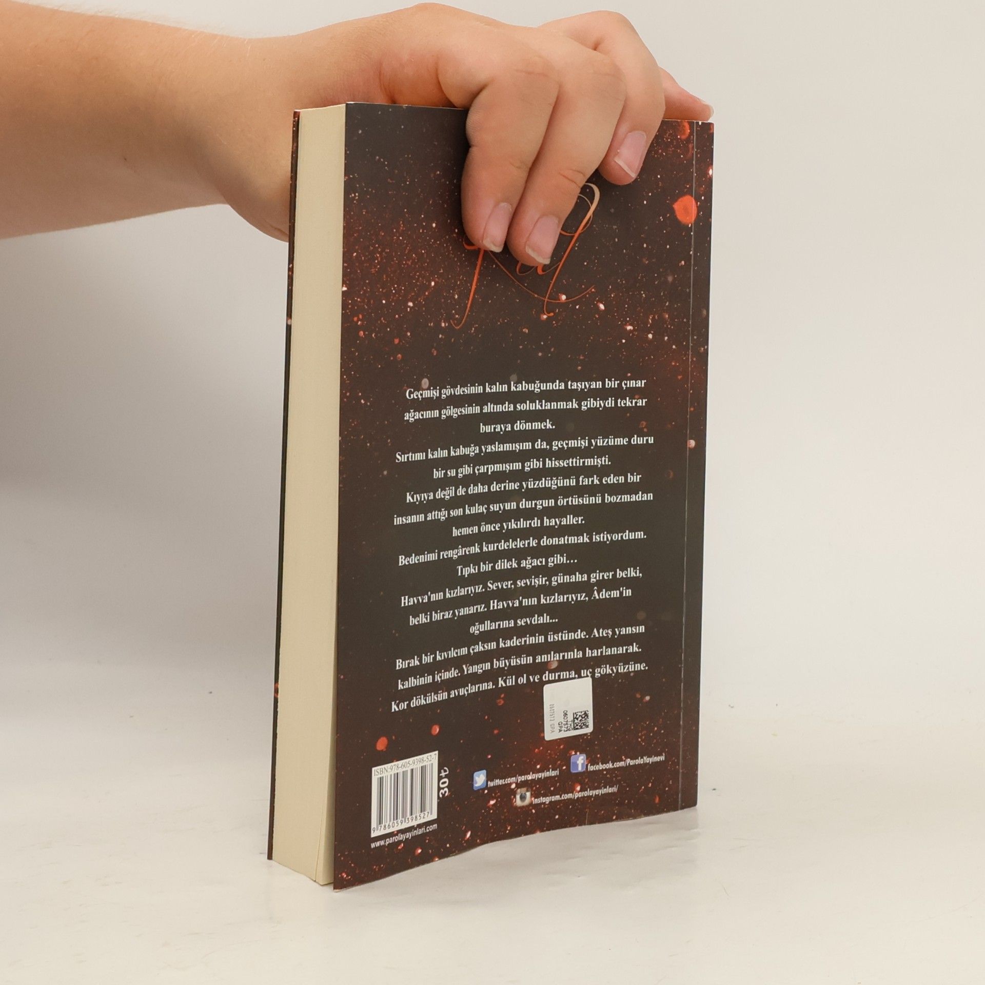 Binnur safak Nigiz Yasaklı Meyve Serisi - 5: Kül