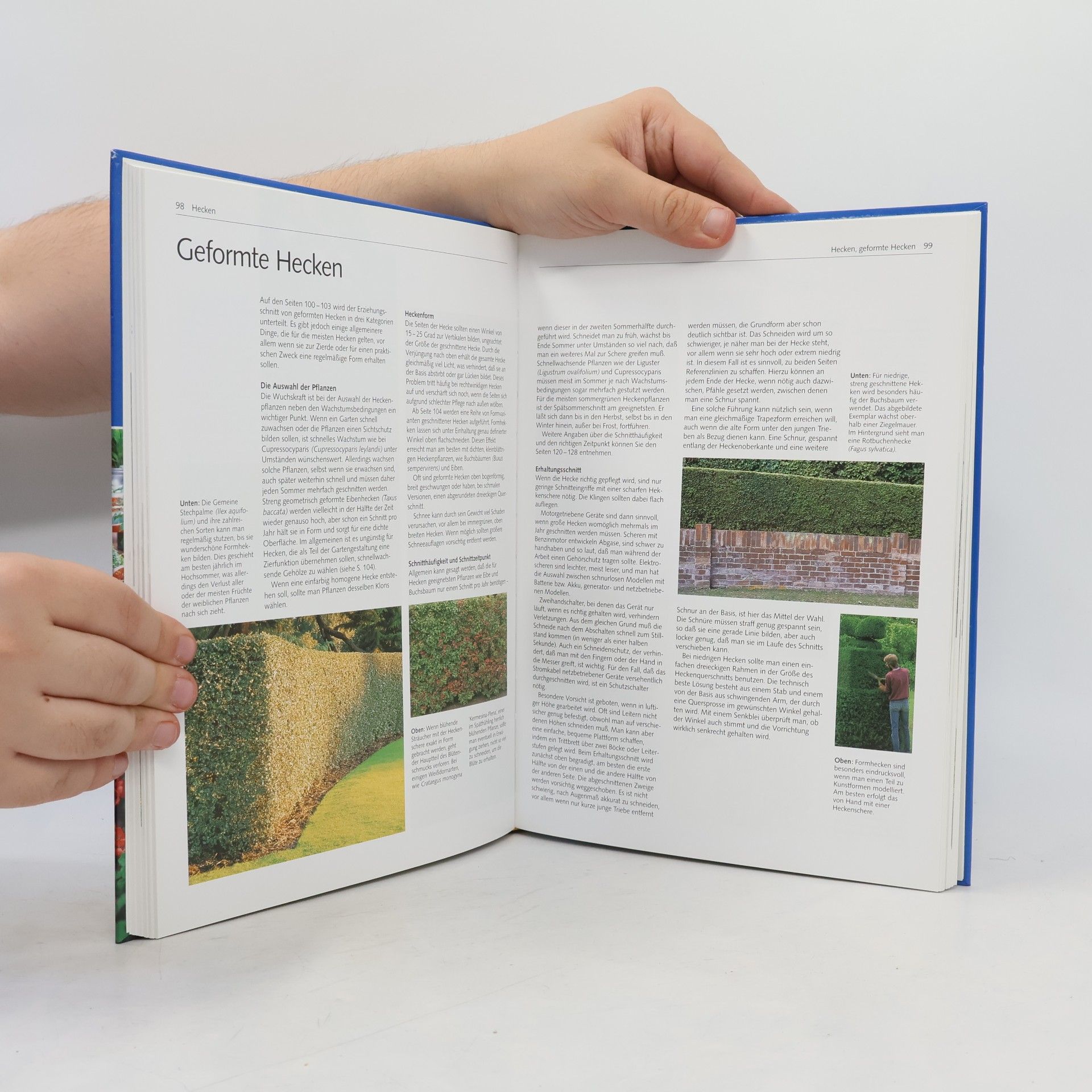 David Joyce Das große Buch vom Pflanzenschneiden
