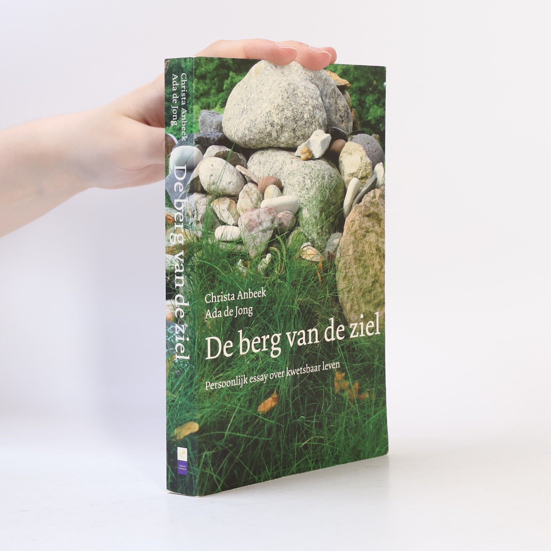 Ada de Jong De berg van de ziel