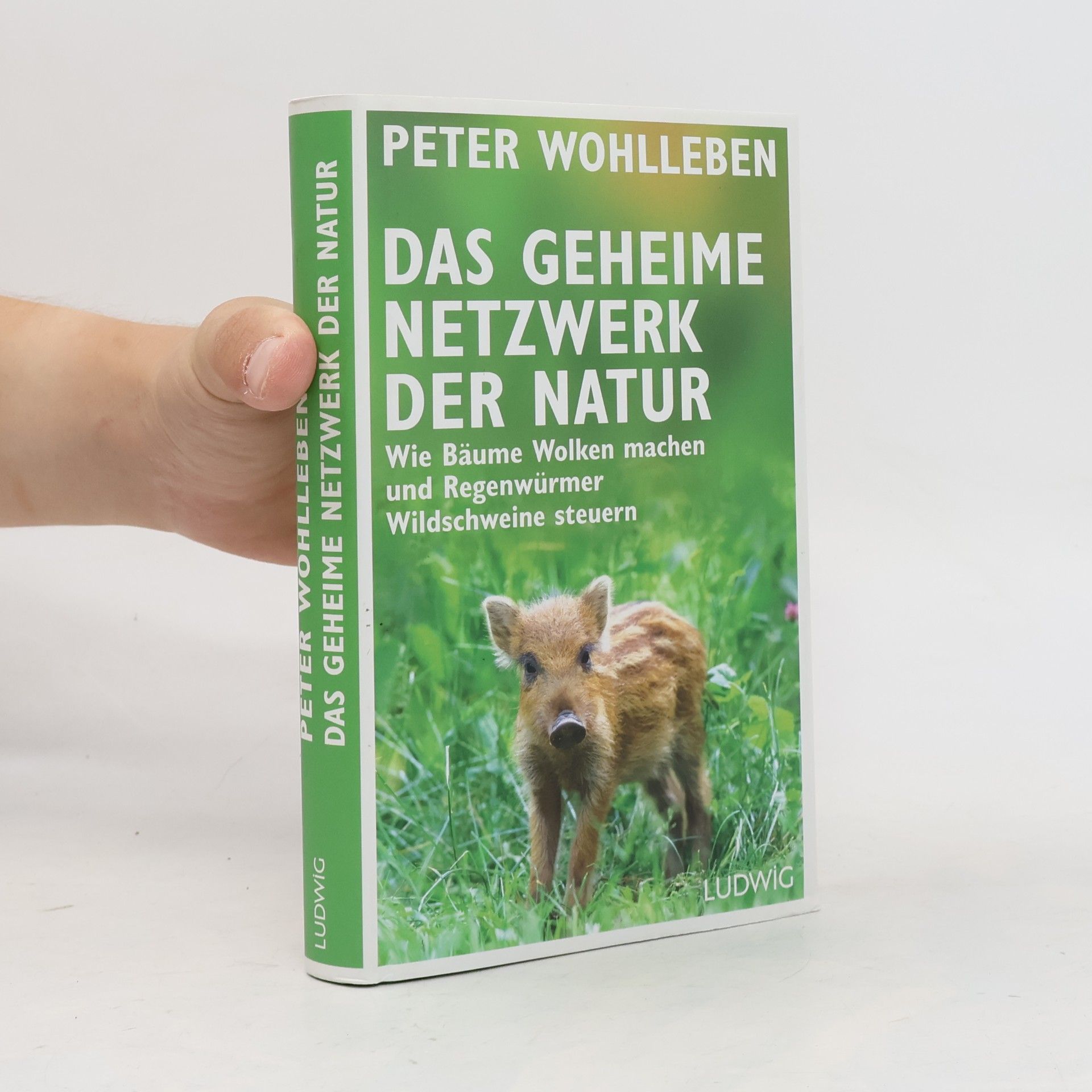 Peter Wohlleben Das geheime Netzwerk der Natur