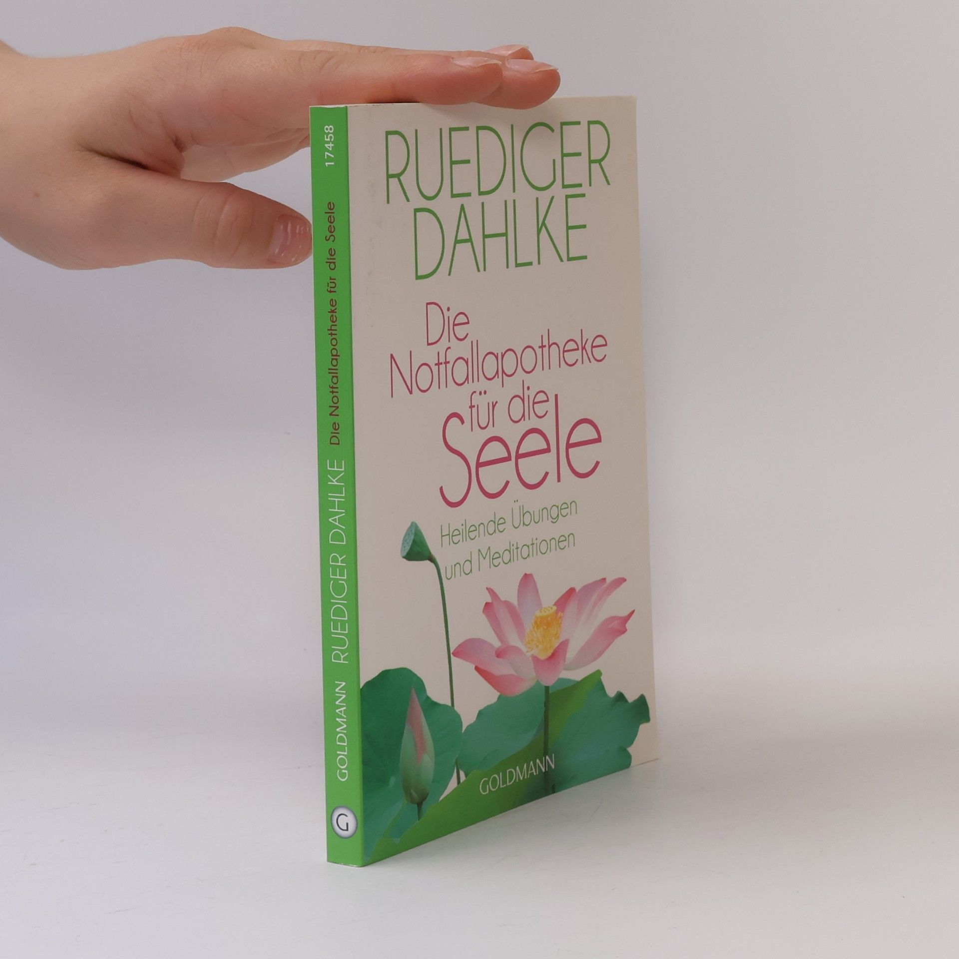 Ruediger Dahlke Die Notfallapotheke für die Seele