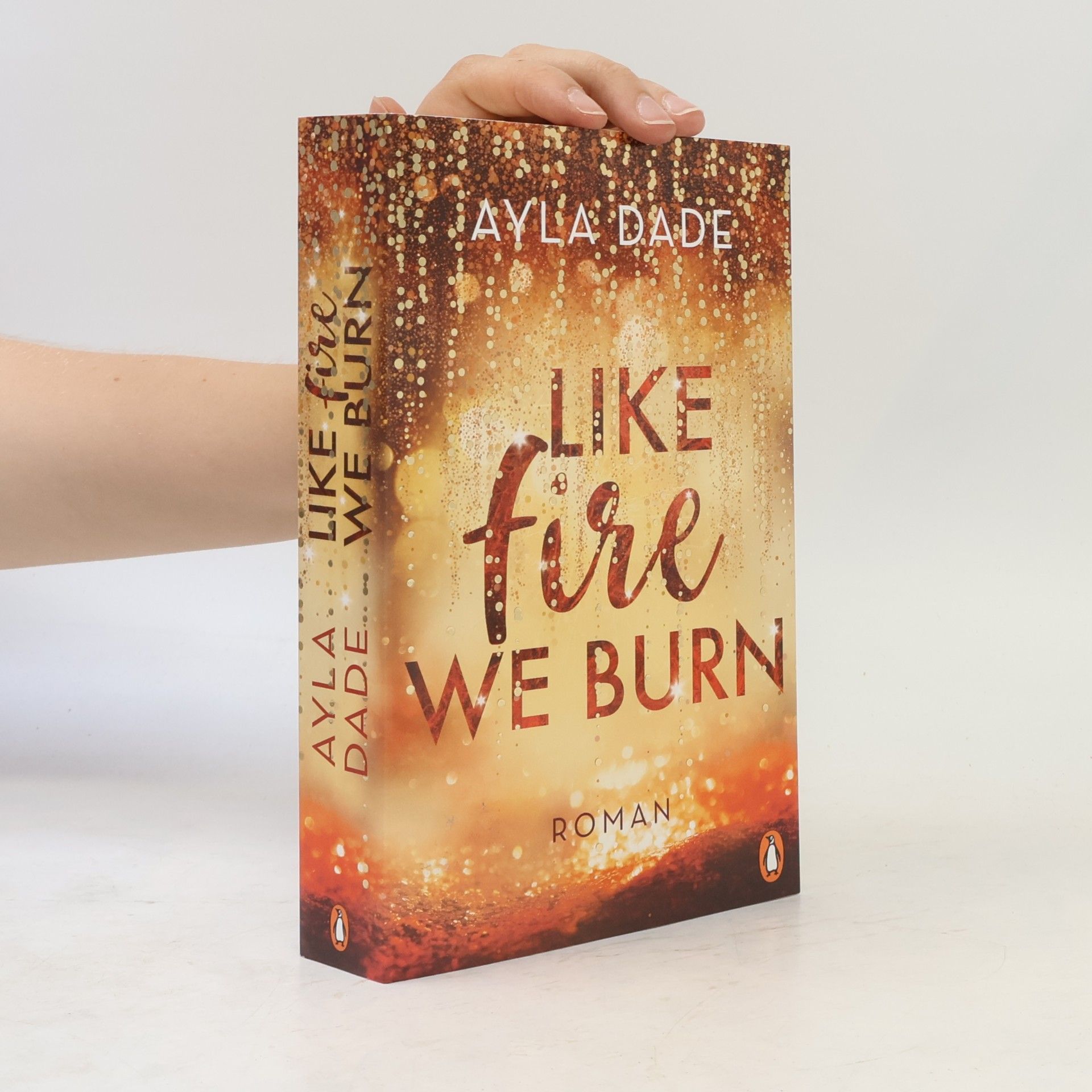Ayla Dade Like Fire We Burn
