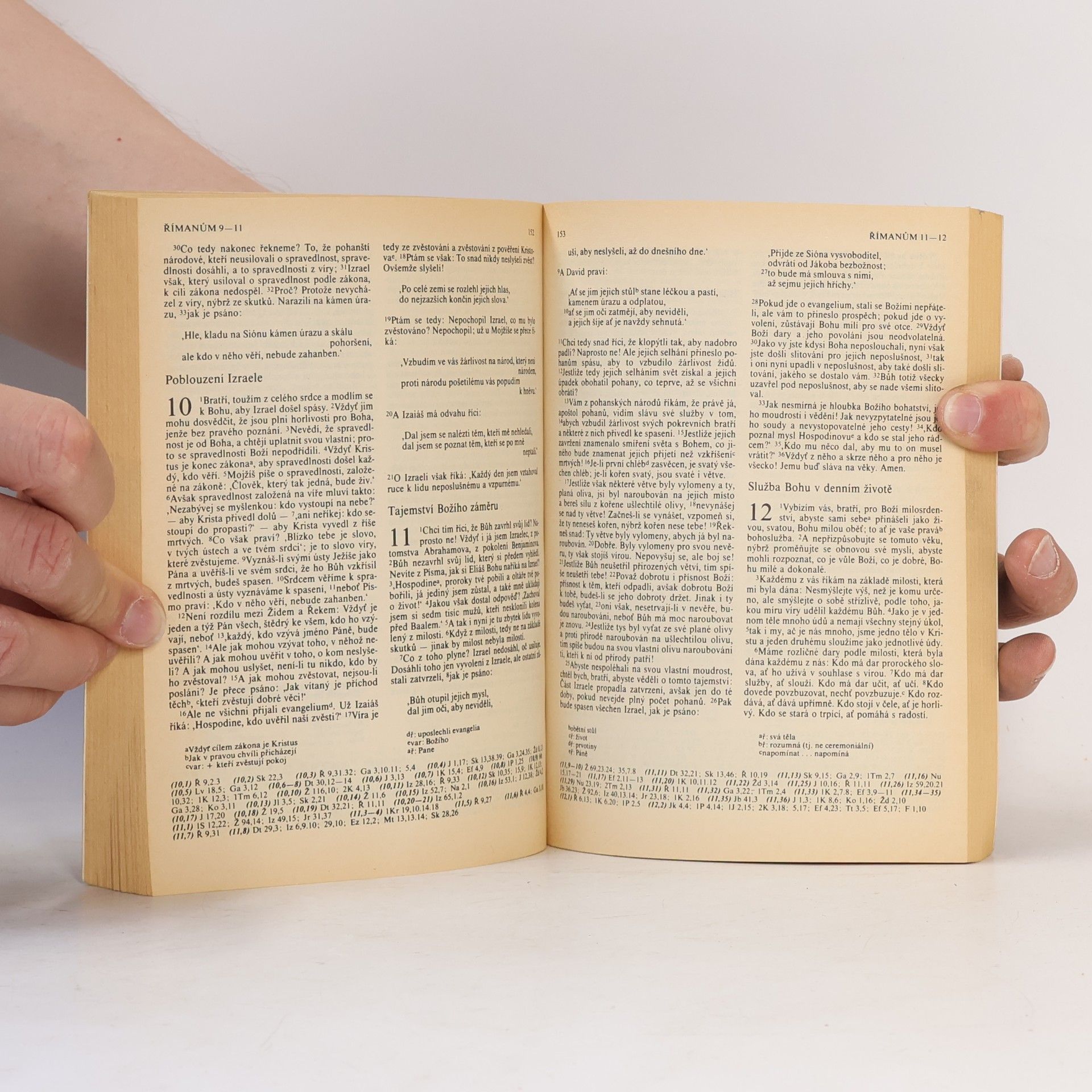 Autores varios Bible. Nový zákon