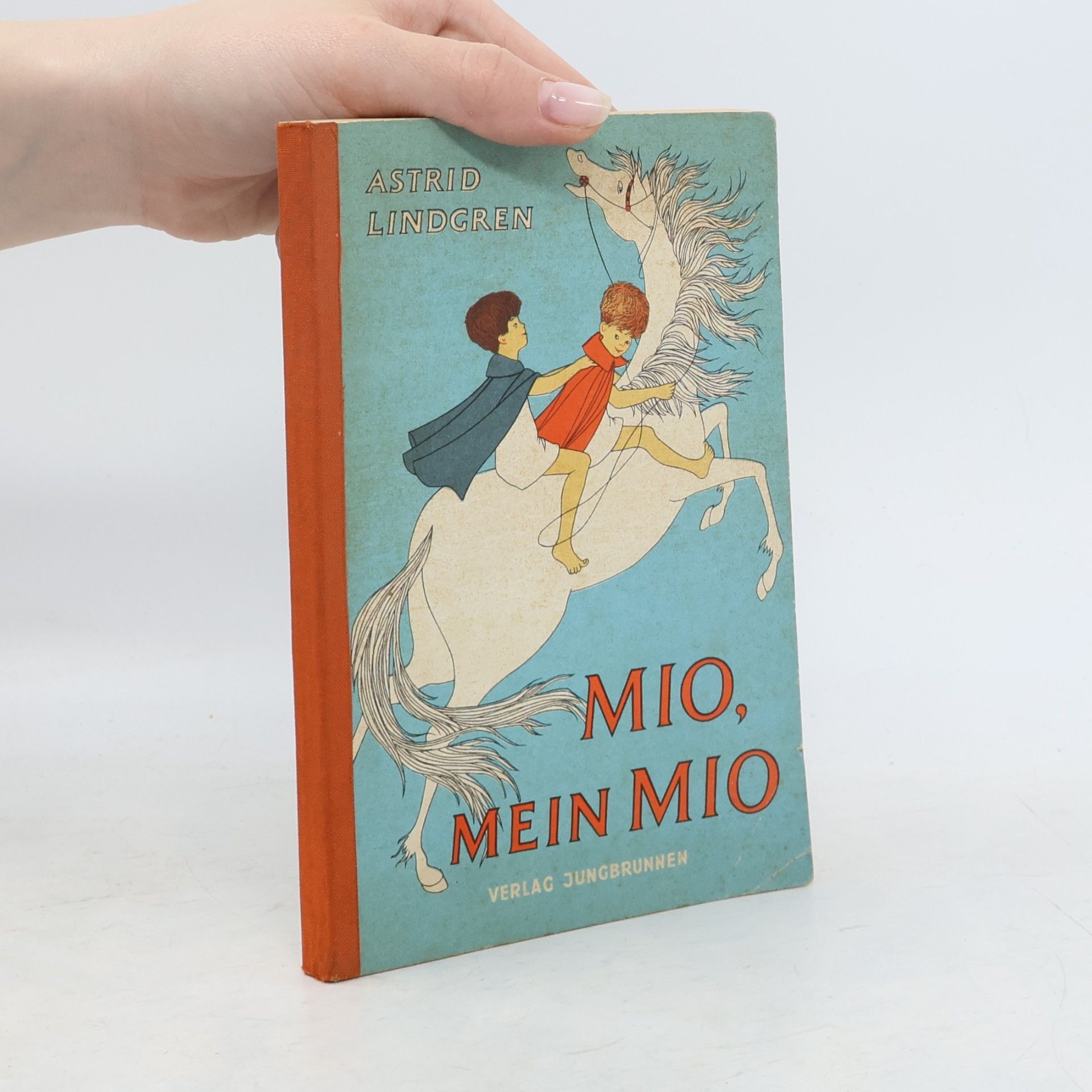 Astrid Lindgren Mio, mein Mio