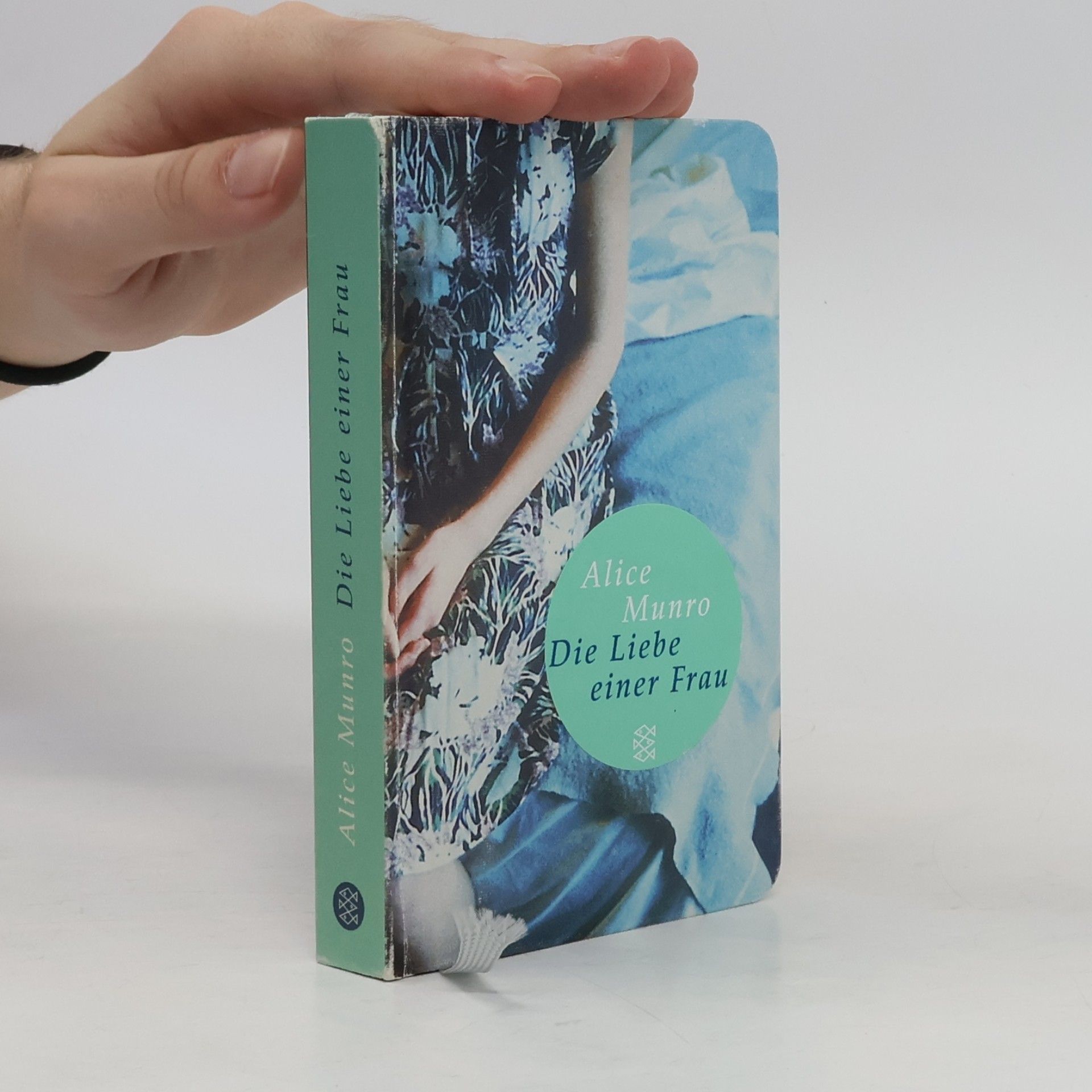 Alice Munro Die Liebe einer Frau