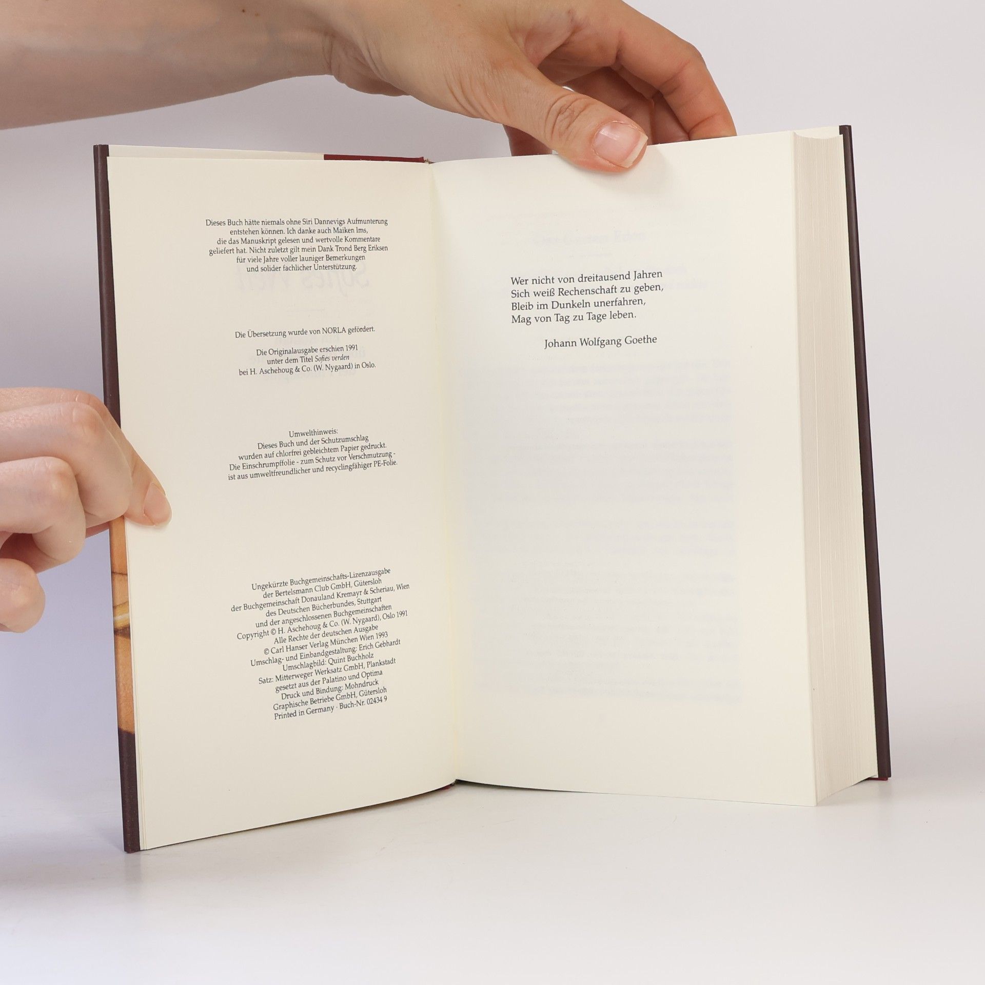 Jostein Gaarder Sofies Welt