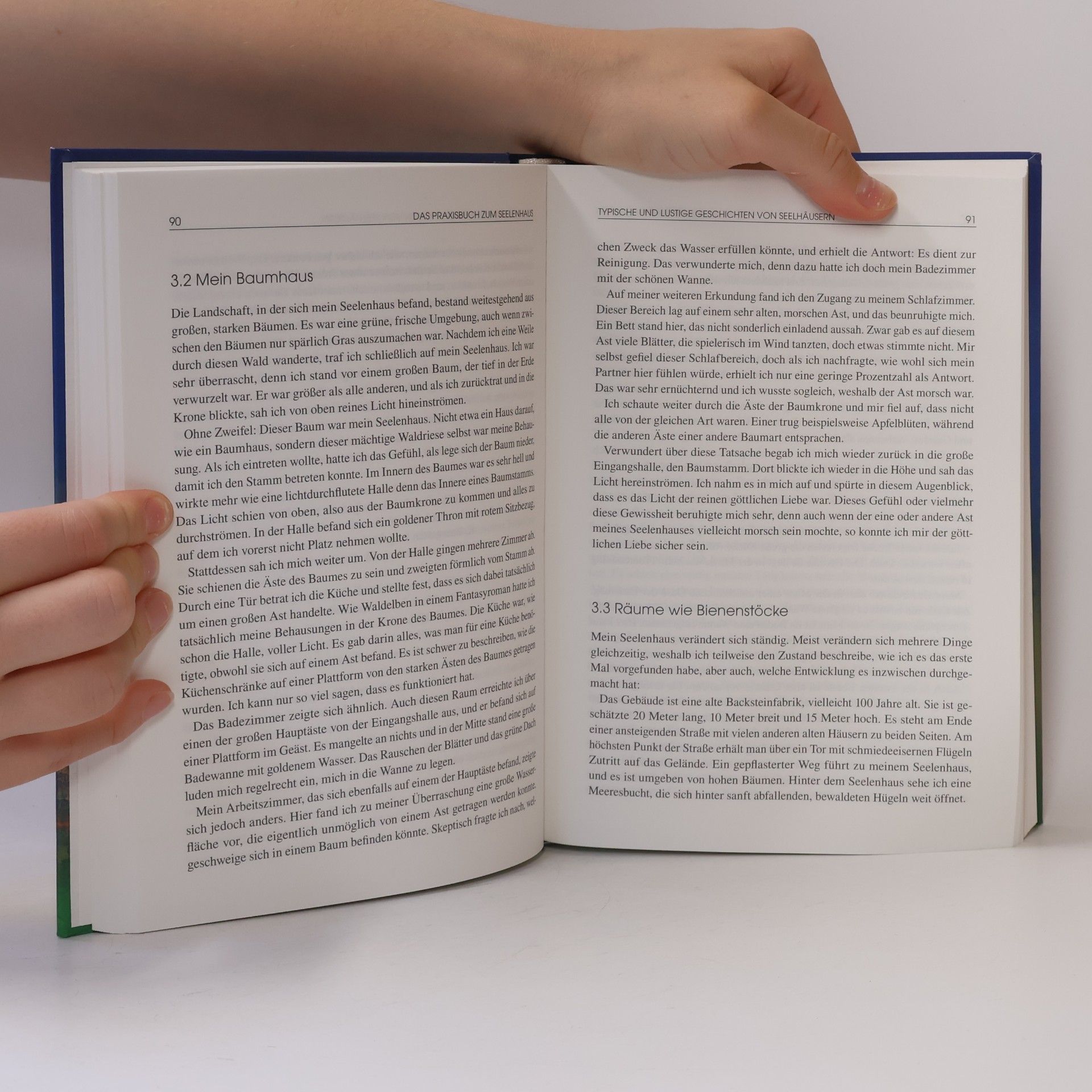 Hans-Peter Reiter Das Praxisbuch zum Seelenhaus