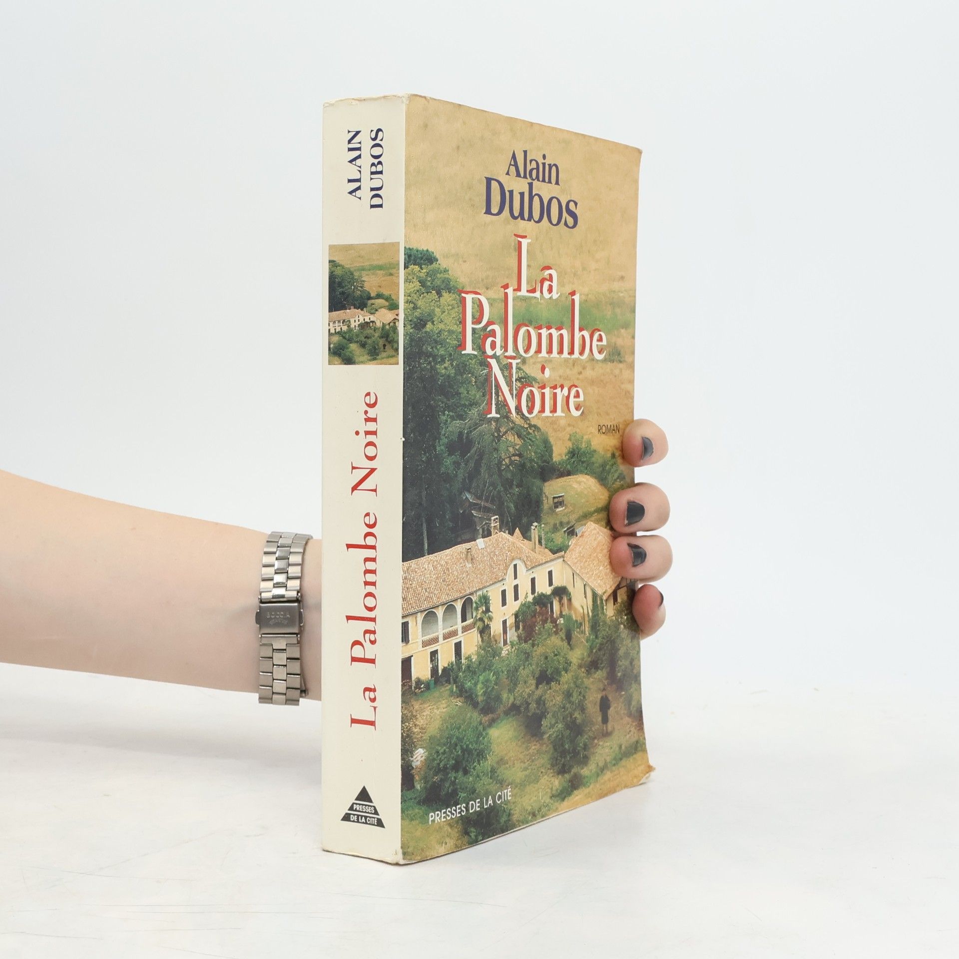 Alain Dubos La palombe noire