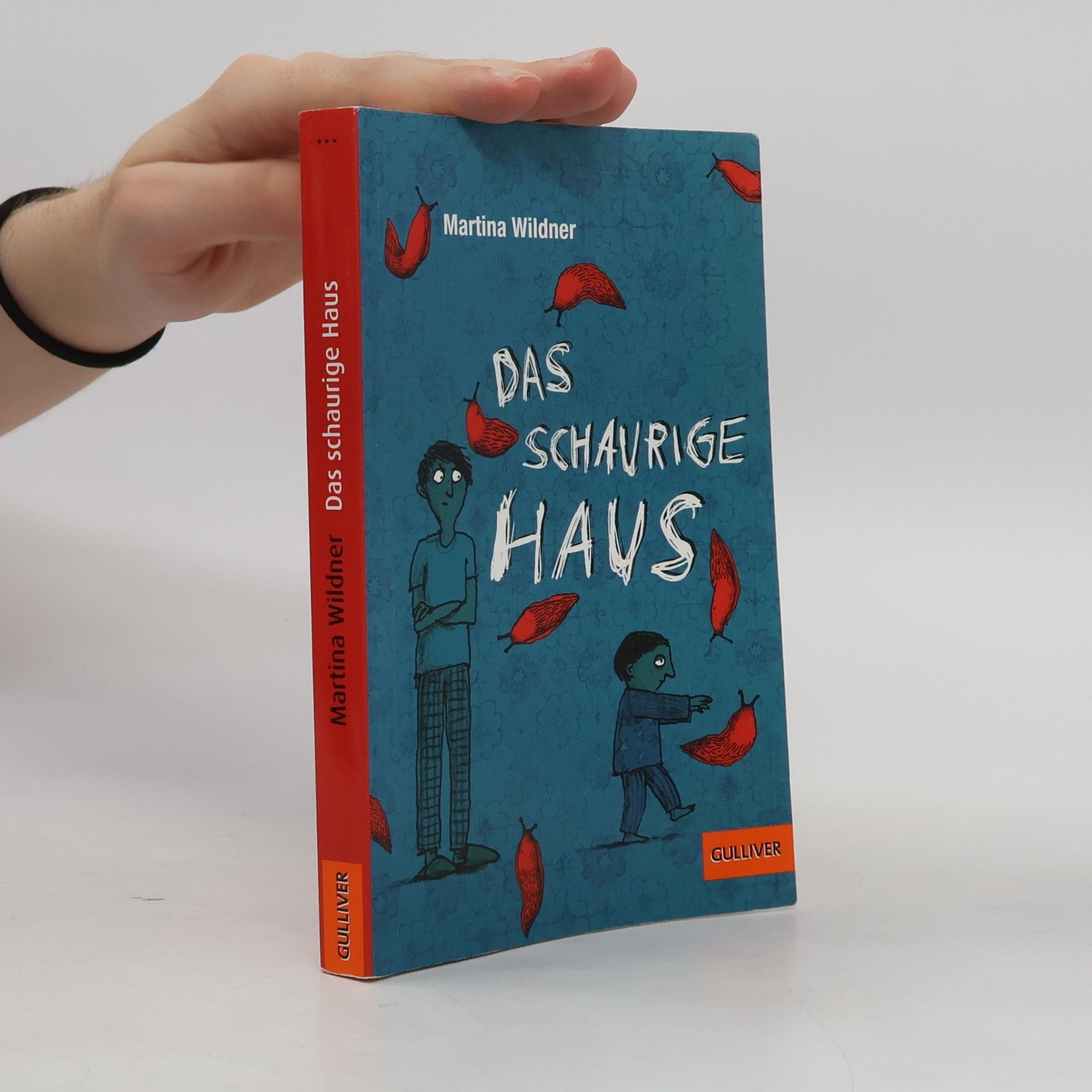 Martina Wildner Das schaurige Haus