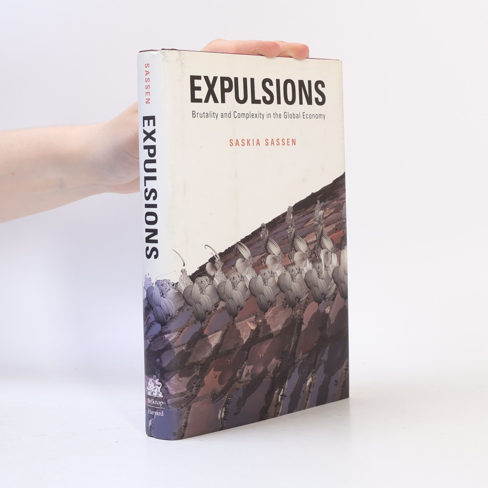 Saskia Sassen Expulsions