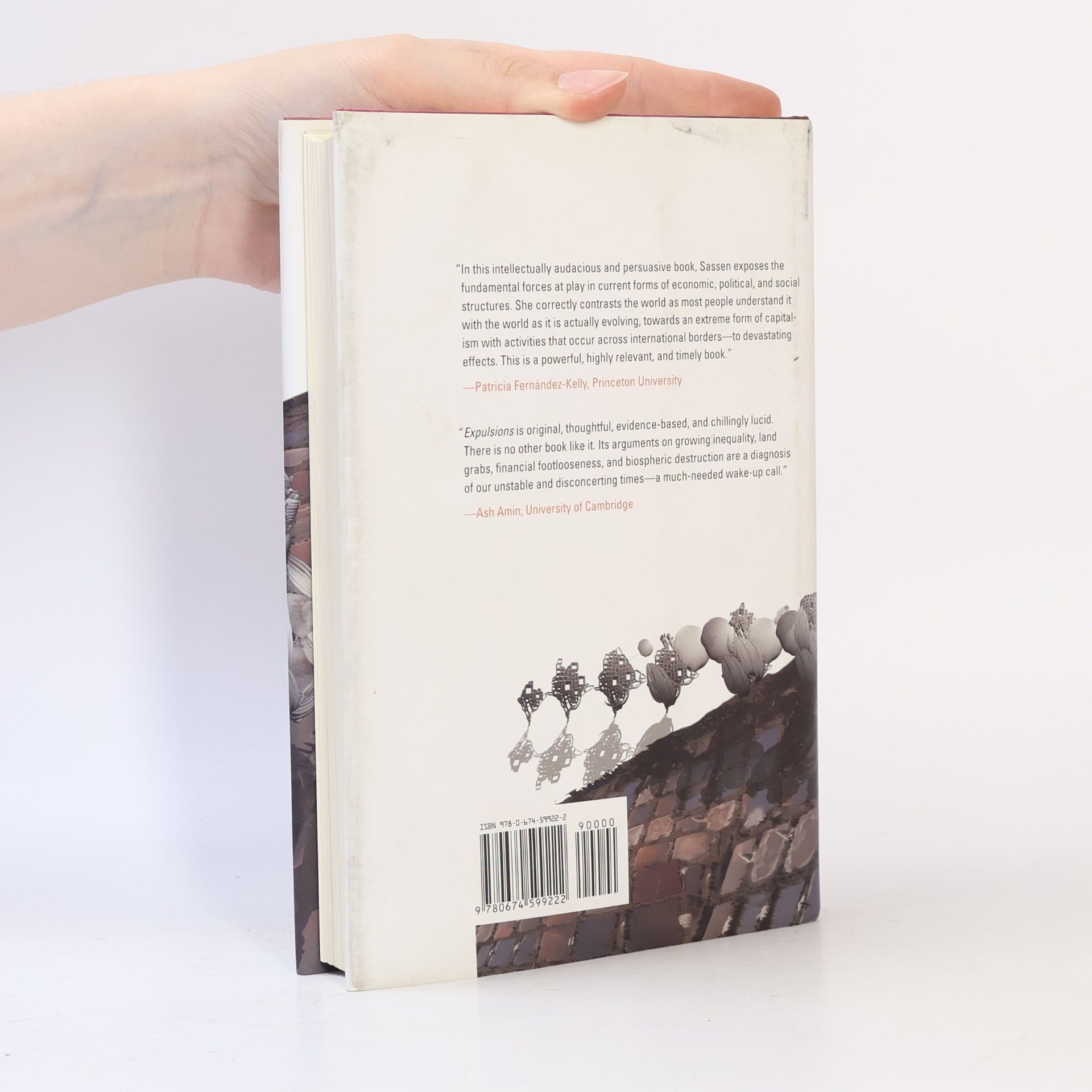 Saskia Sassen Expulsions