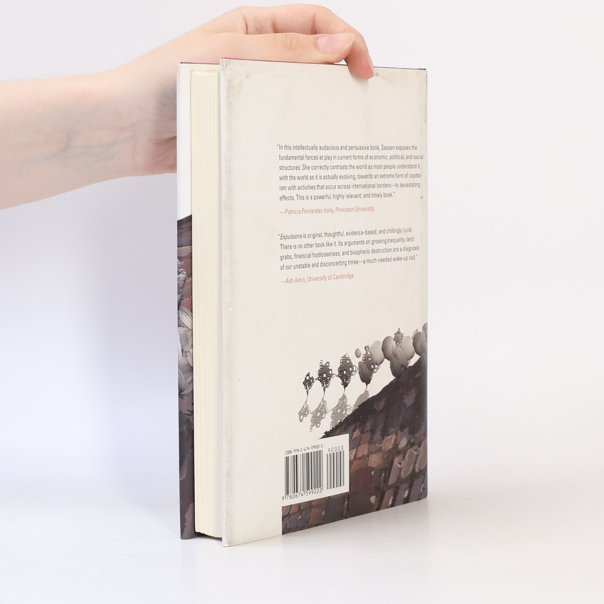 Saskia Sassen Expulsions