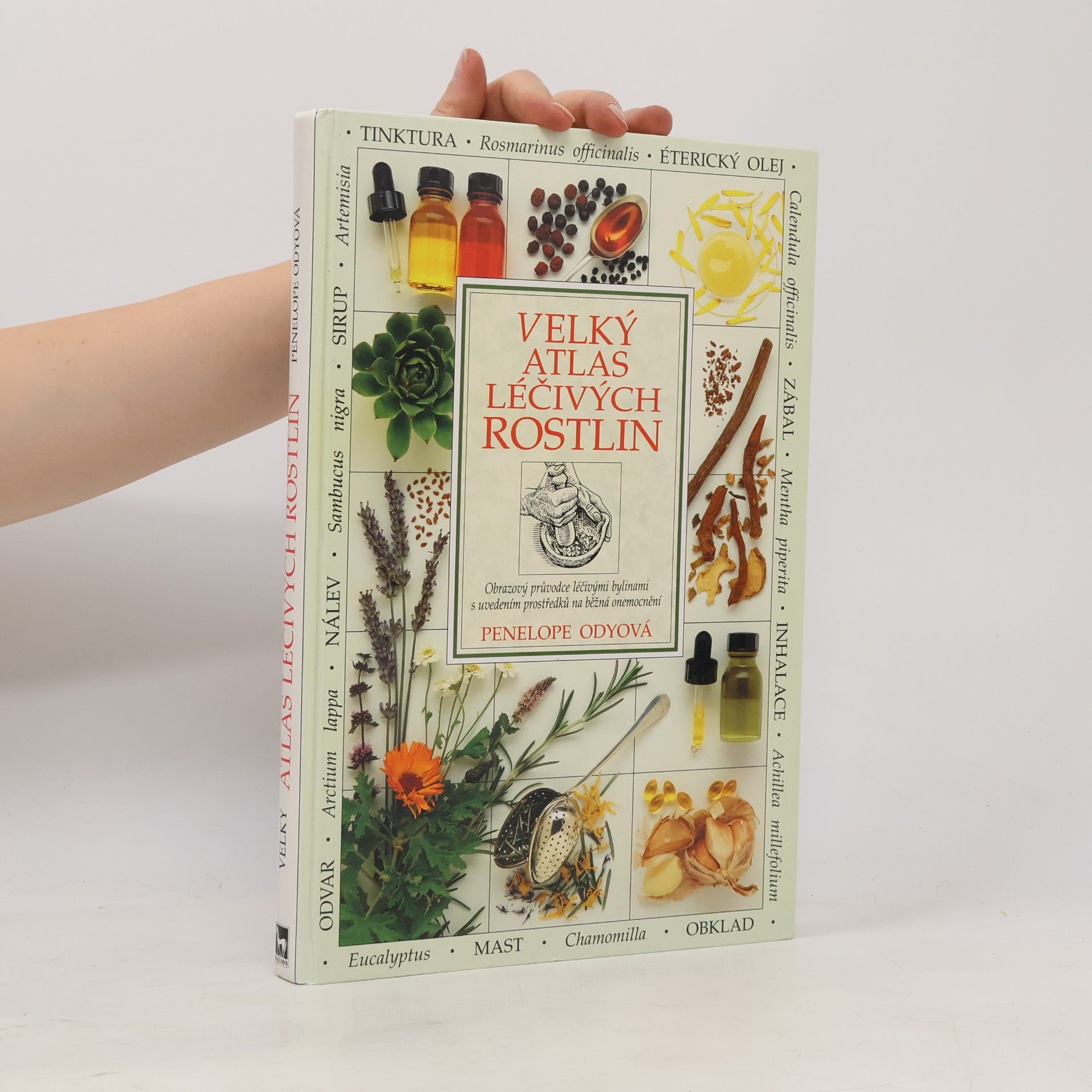 Penelope Ody Velký atlas léčivých rostlin