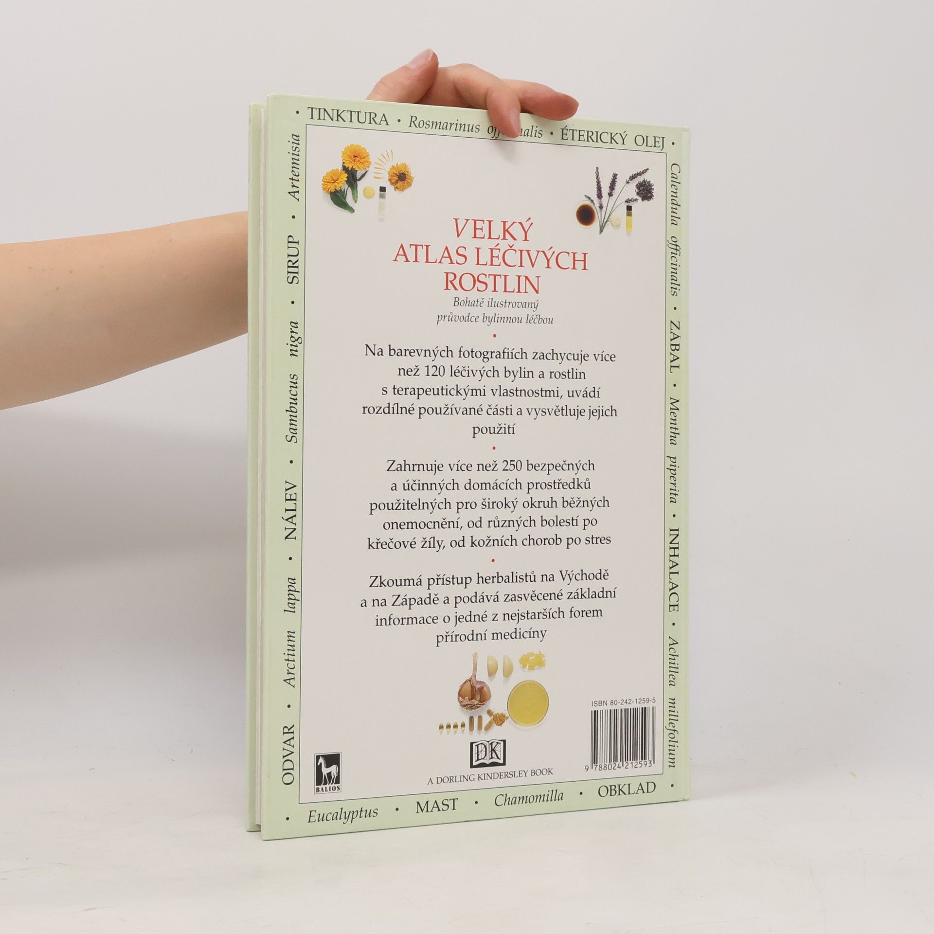 Penelope Ody Velký atlas léčivých rostlin