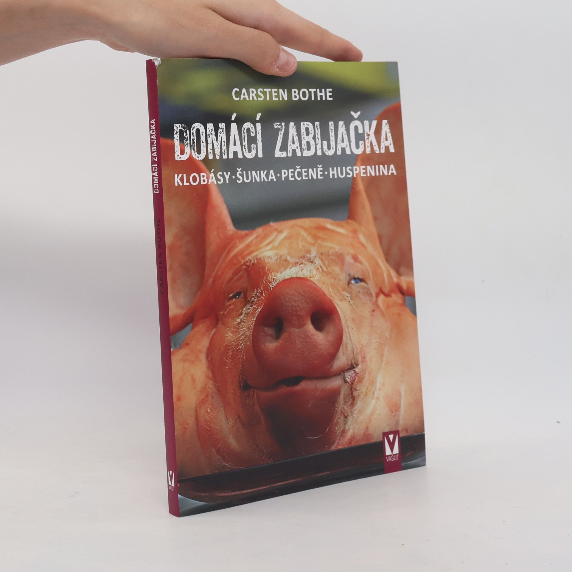 Carsten Bothe Domácí zabijačka: Klobásy, šunka, pečeně, huspenina