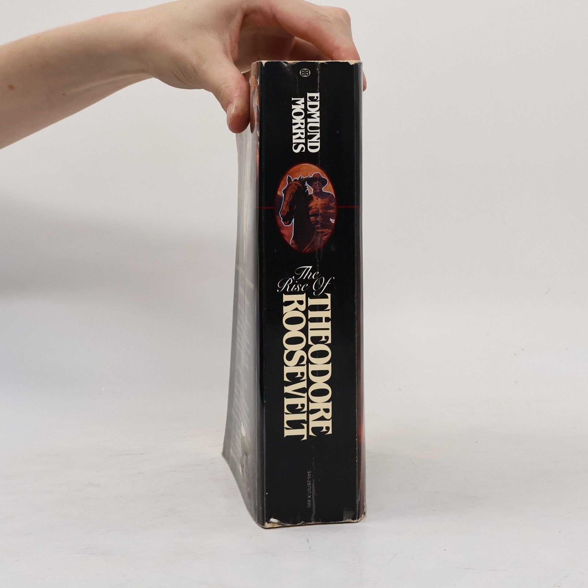 Edmund Morris The Rise of Theodore Roosevelt
