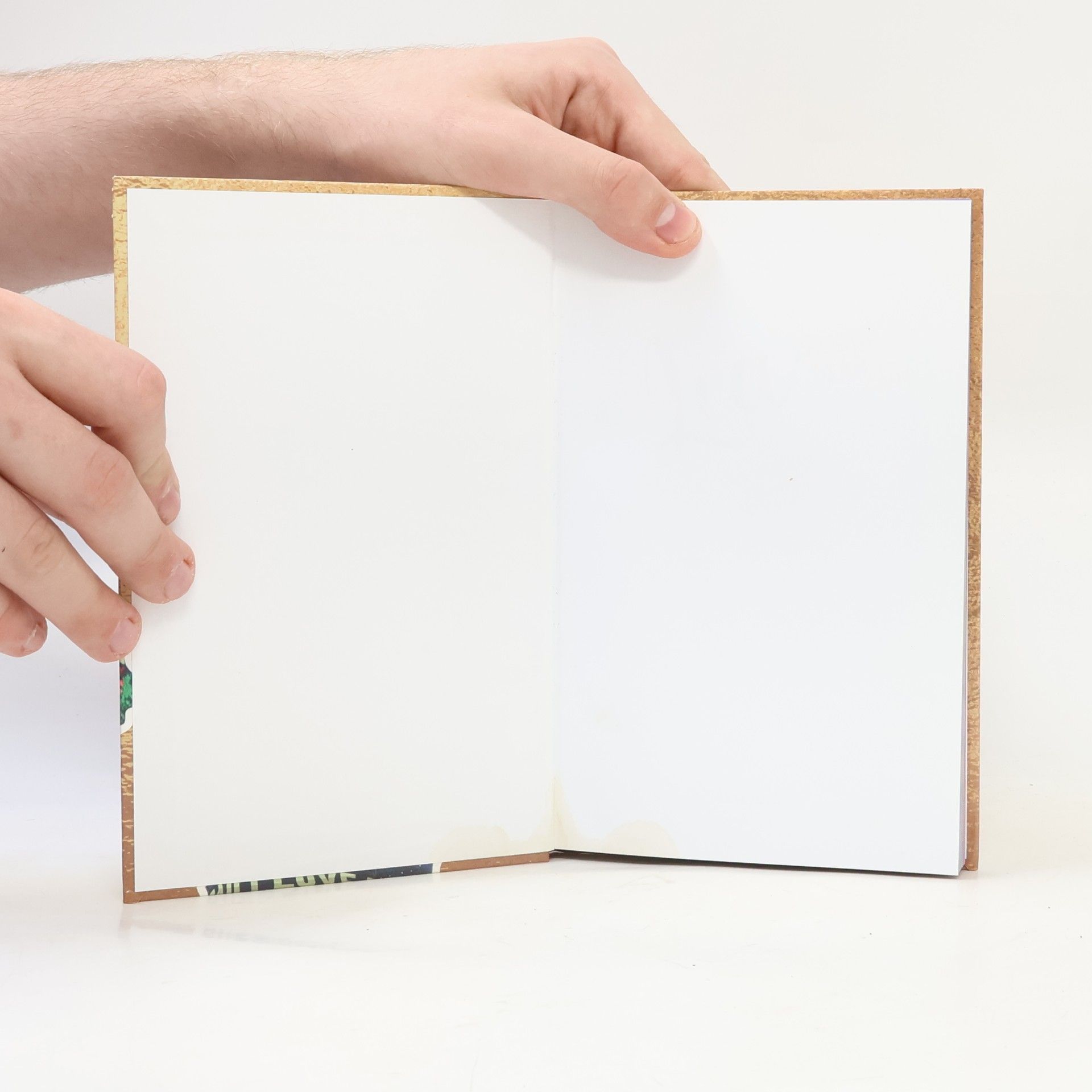 Autores varios Lea. Školní diář pro všechny správné leystky