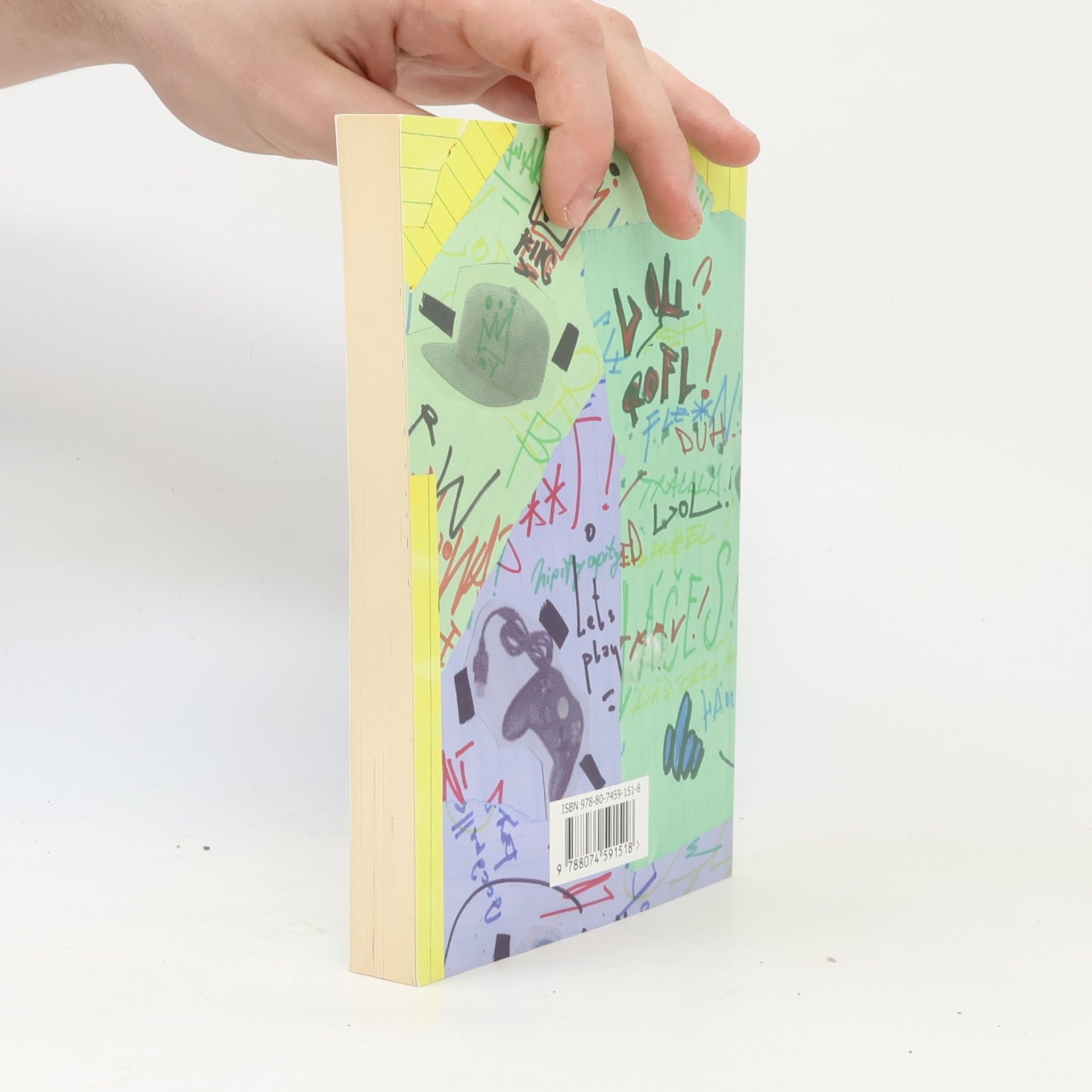 Marie Hohlová Deník šíleného puberťáka