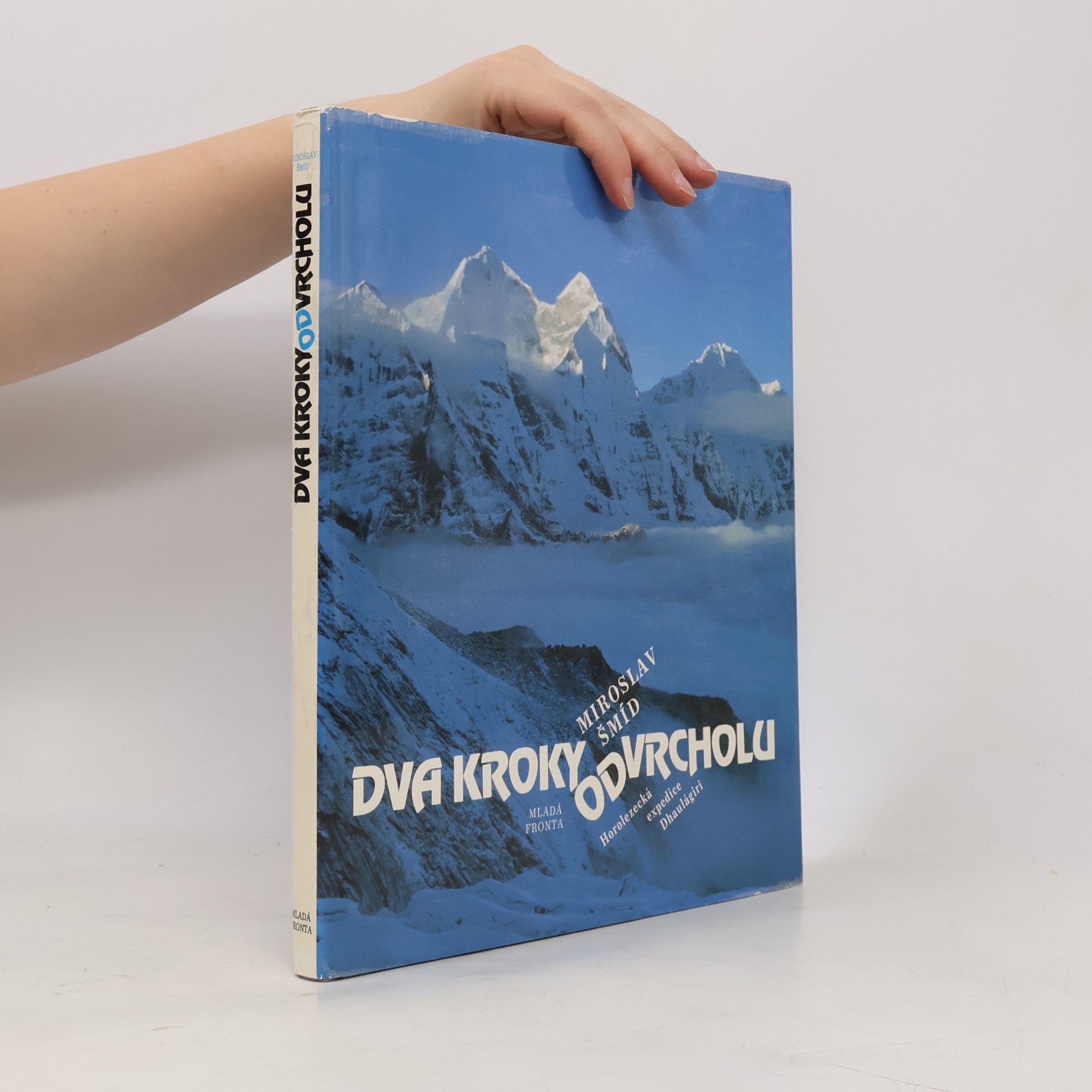 Miroslav Šmíd Dva kroky od vrcholu