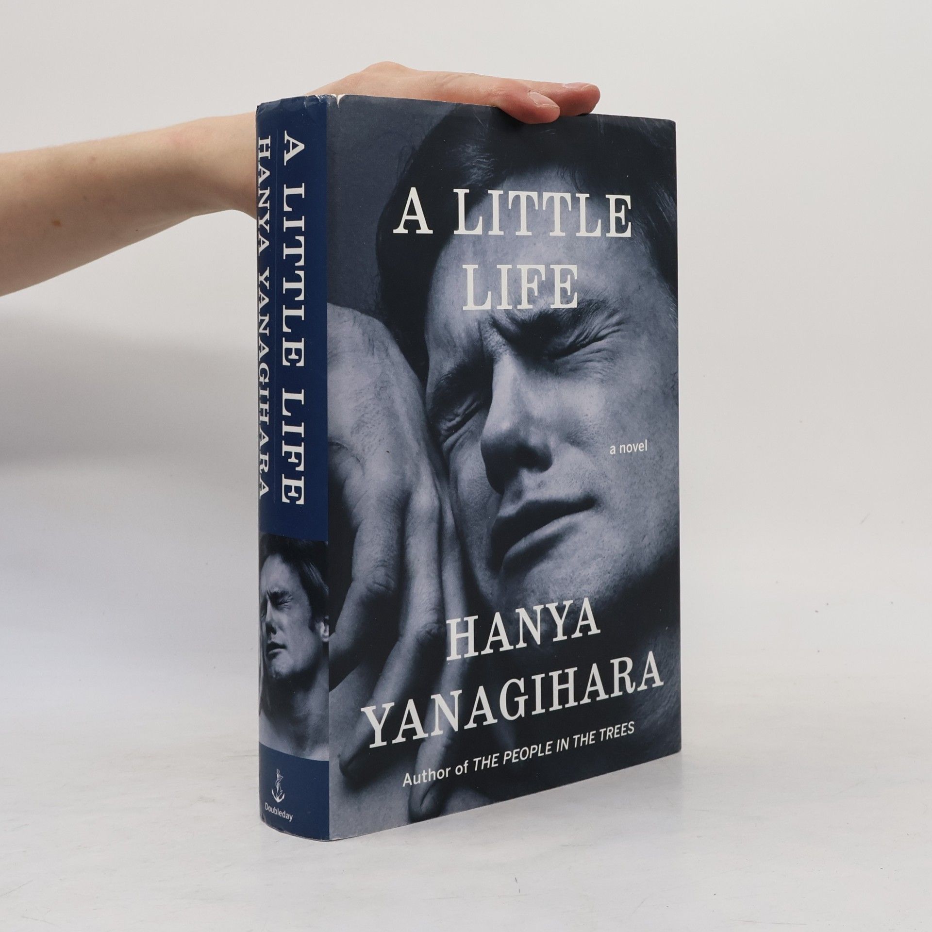 Hanya Yanagihara A Little Life