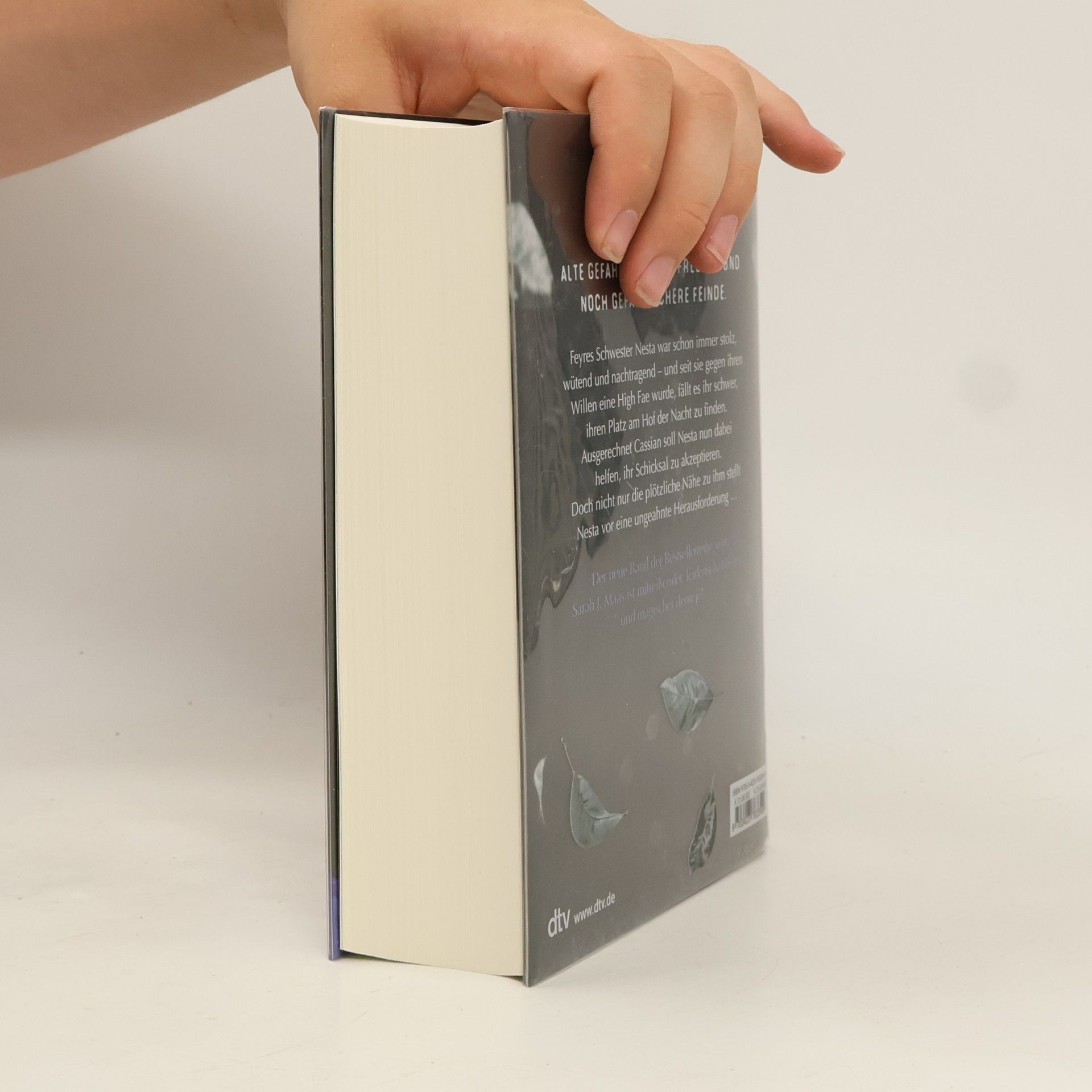 Sarah J. Maas Das Reich der sieben Höfe - silbernes Feuer