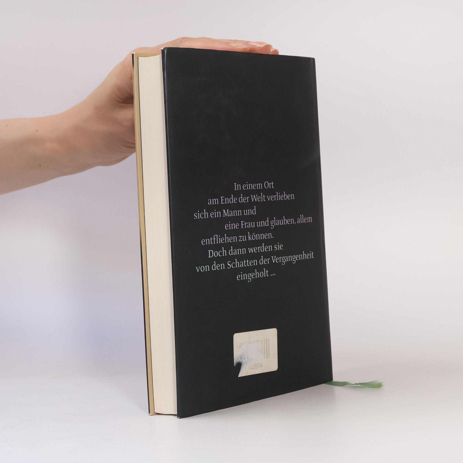Janice Deaner Die Schatten der Vergangenheit