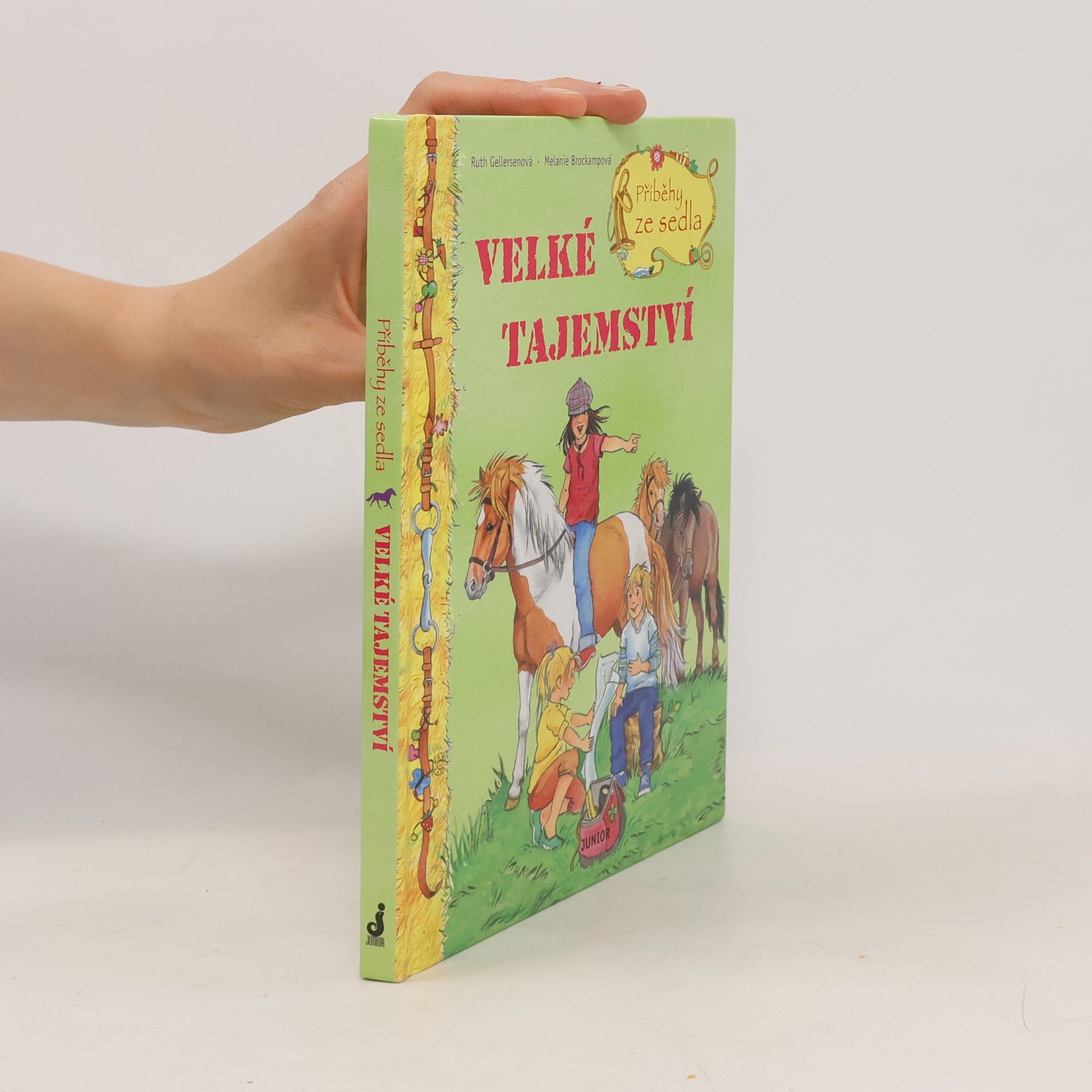 Ruth Gellersen Příběhy ze sedla. Velké tajemství