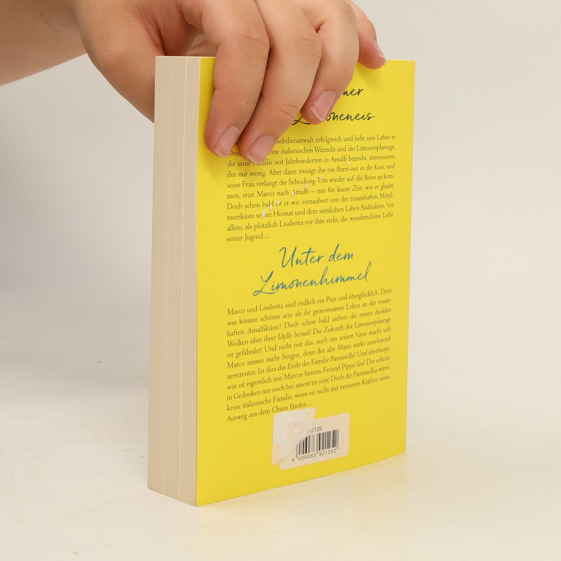 Marie Matisek Ein Sommer wie Limoneneis. Unter dem Limonenhimmel