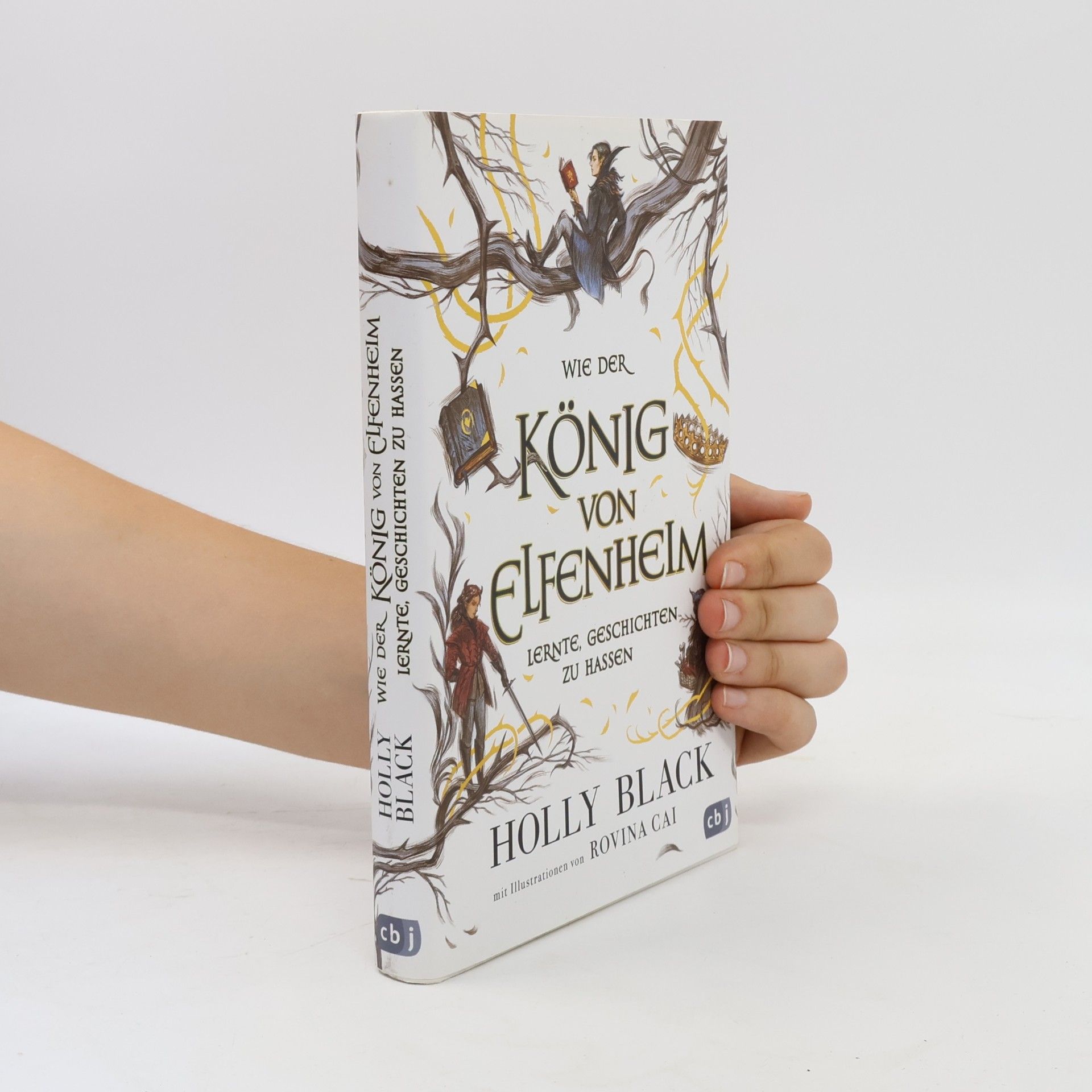 Holly Black Wie der König von Elfenheim lernte, Geschichten zu hassen