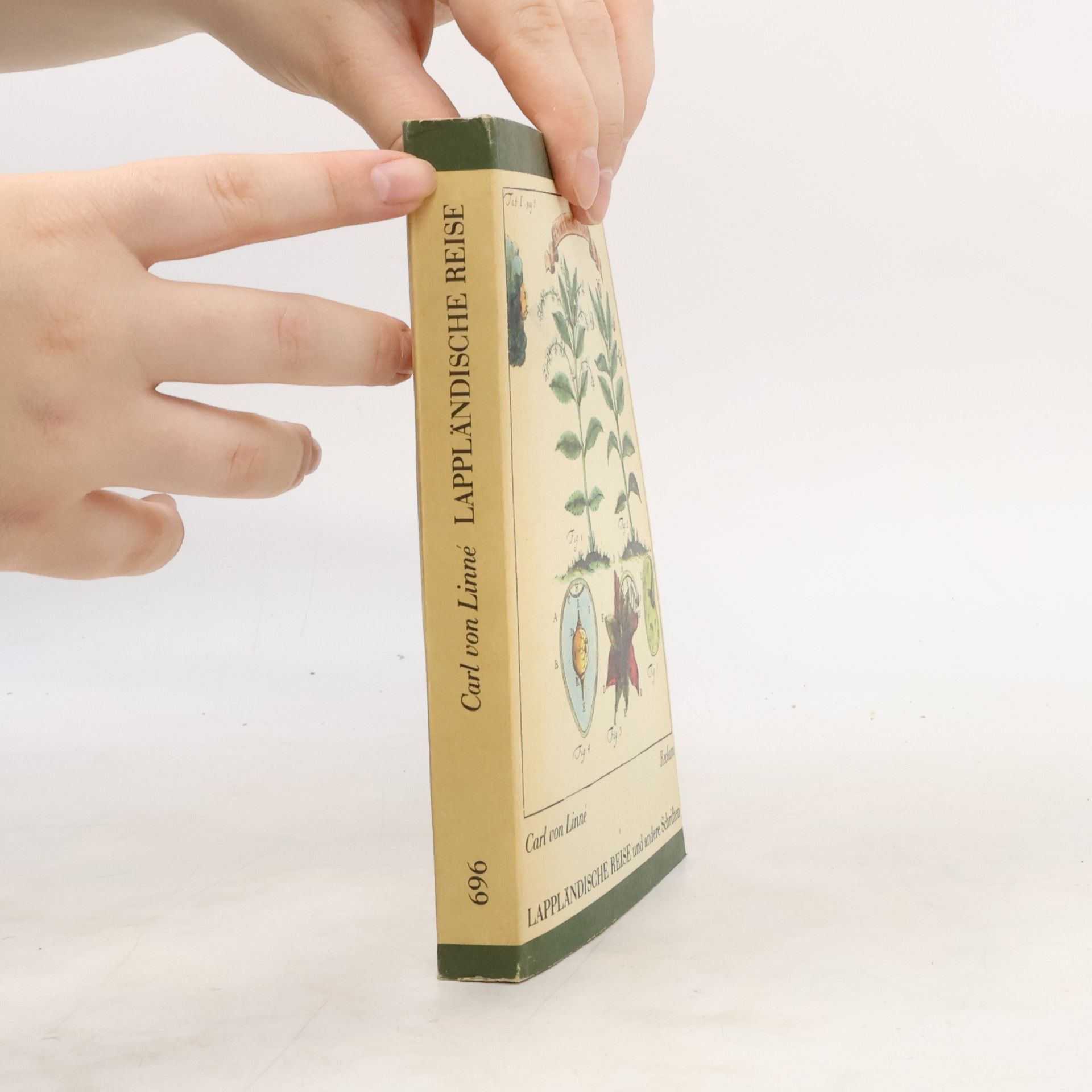 Carl von Linné Lappländische Reise und andere Schriften