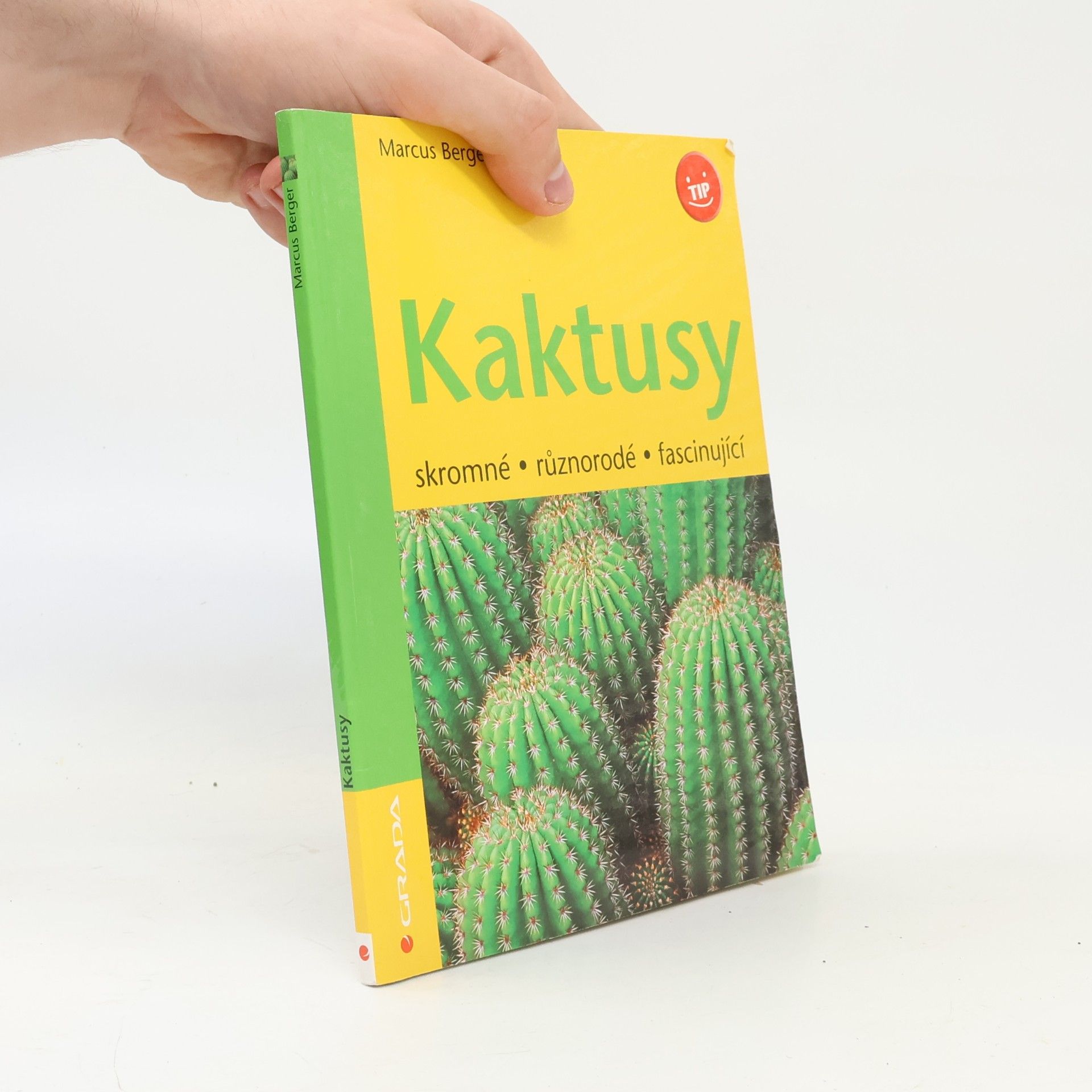 Kaktusy
