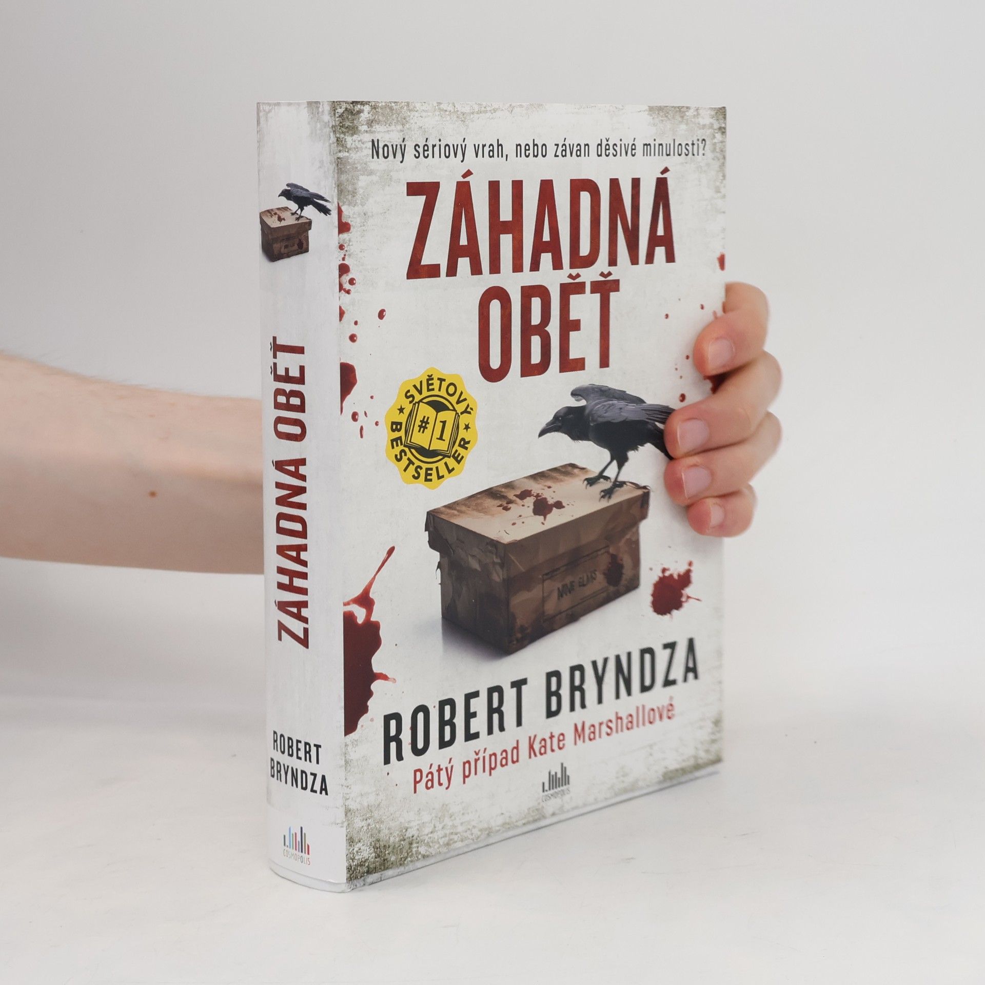 Robert Bryndza Záhadná oběť