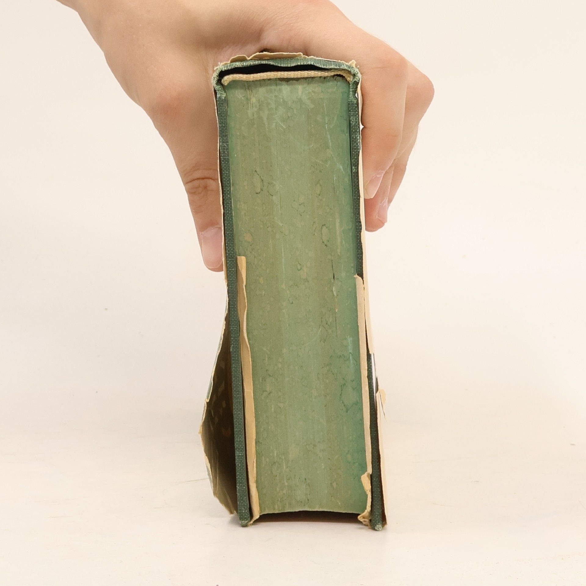 Clement Wood The Complete Rhyming Dictionary and Poet's Craft Book