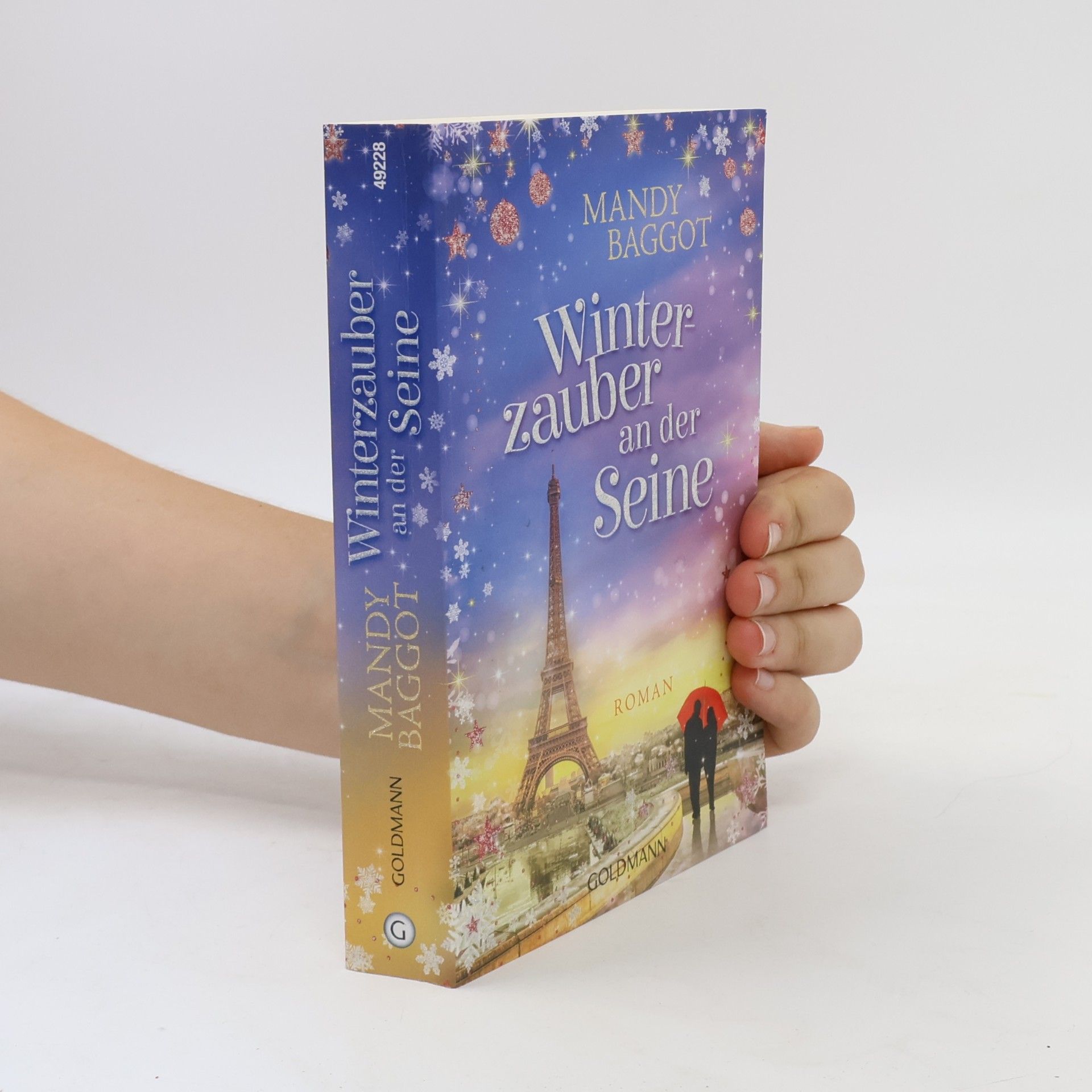 Mandy Baggot Winterzauber an der Seine