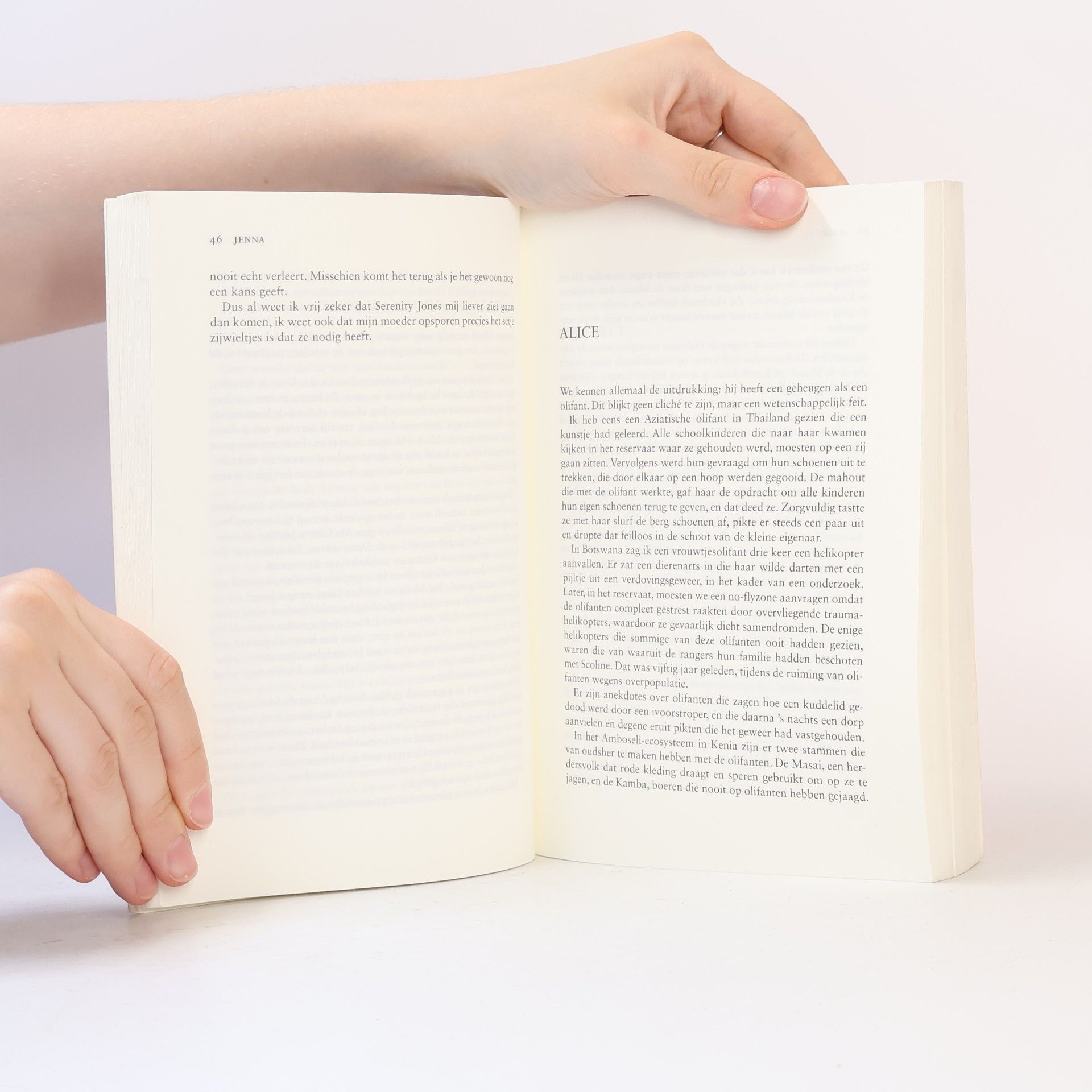 Jodi Picoult Zoals de wind waait / druk 1