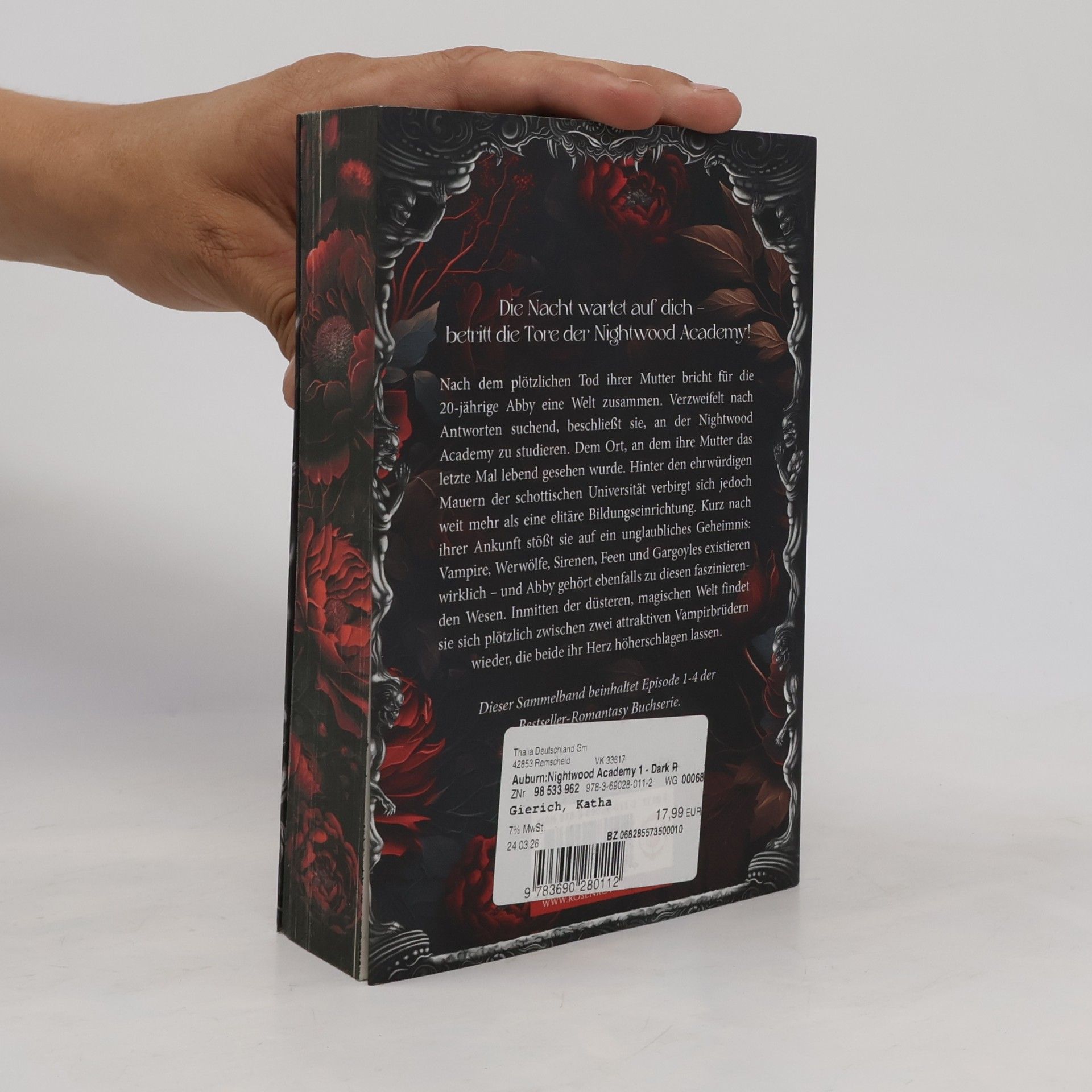 Amber Auburn Dark Romantasy Serie - 1: Nightwood Academy