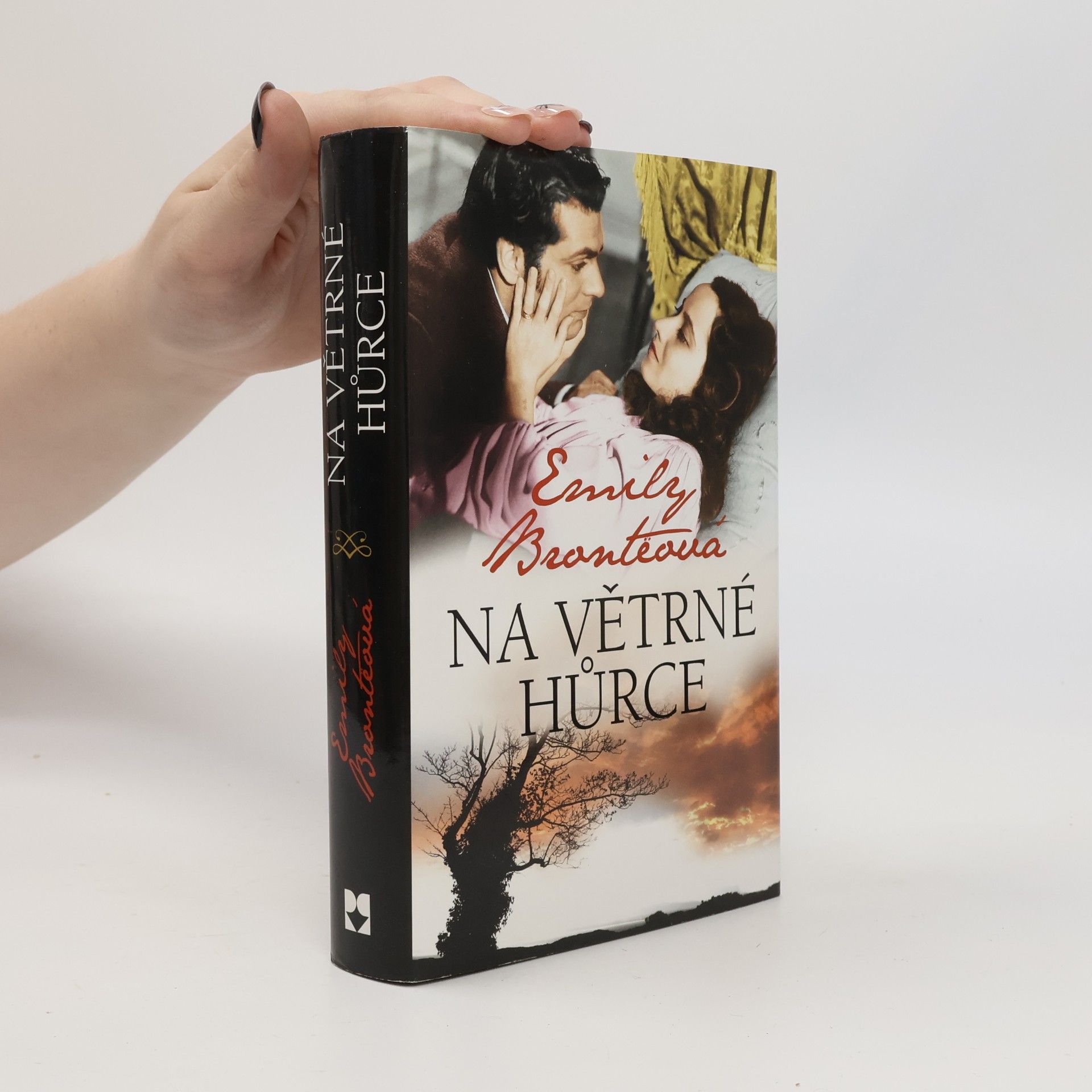 Emily Brontë Na Větrné hůrce