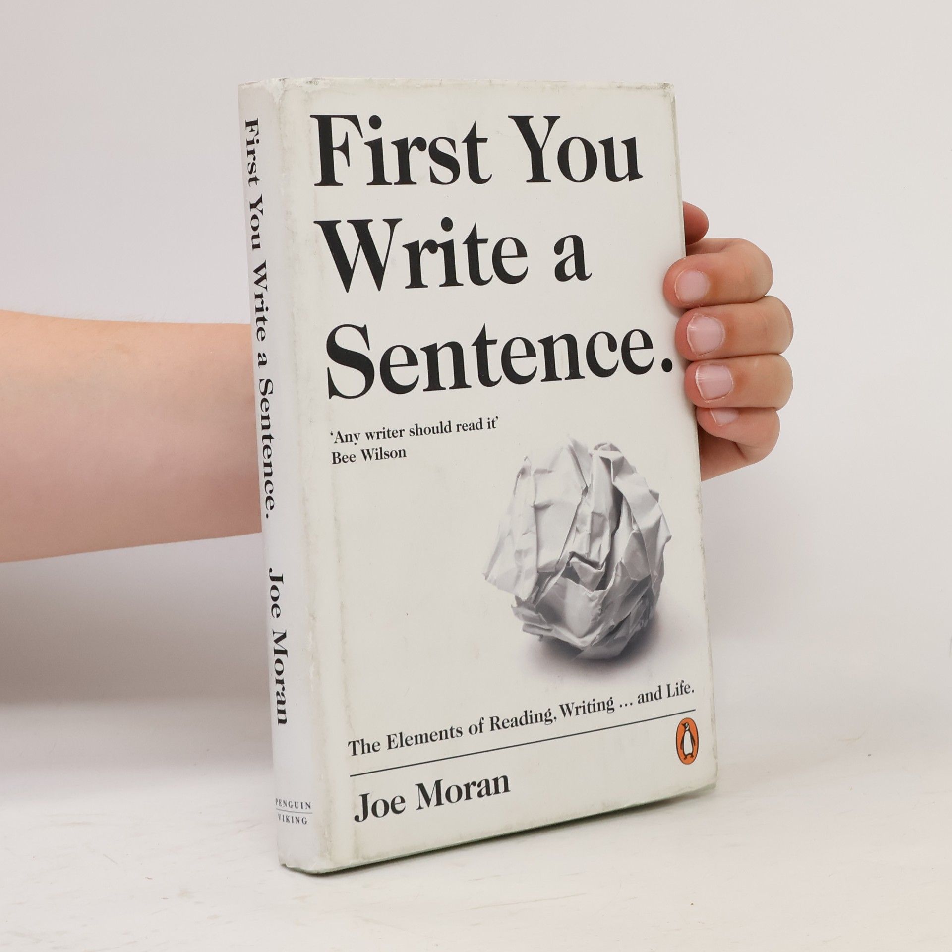 Joe Moran First You Write a Sentence.