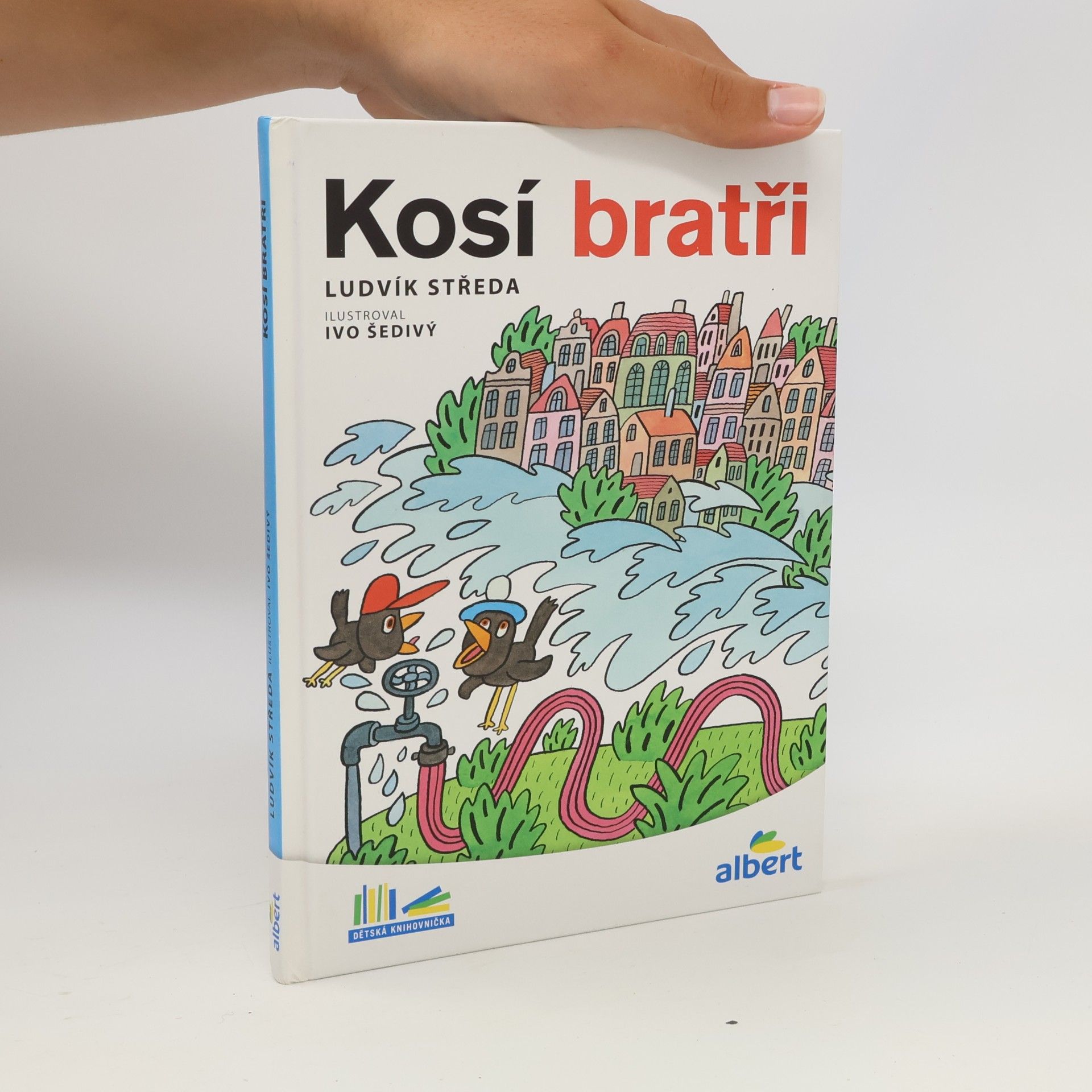 Ludvík Středa Kosí bratři