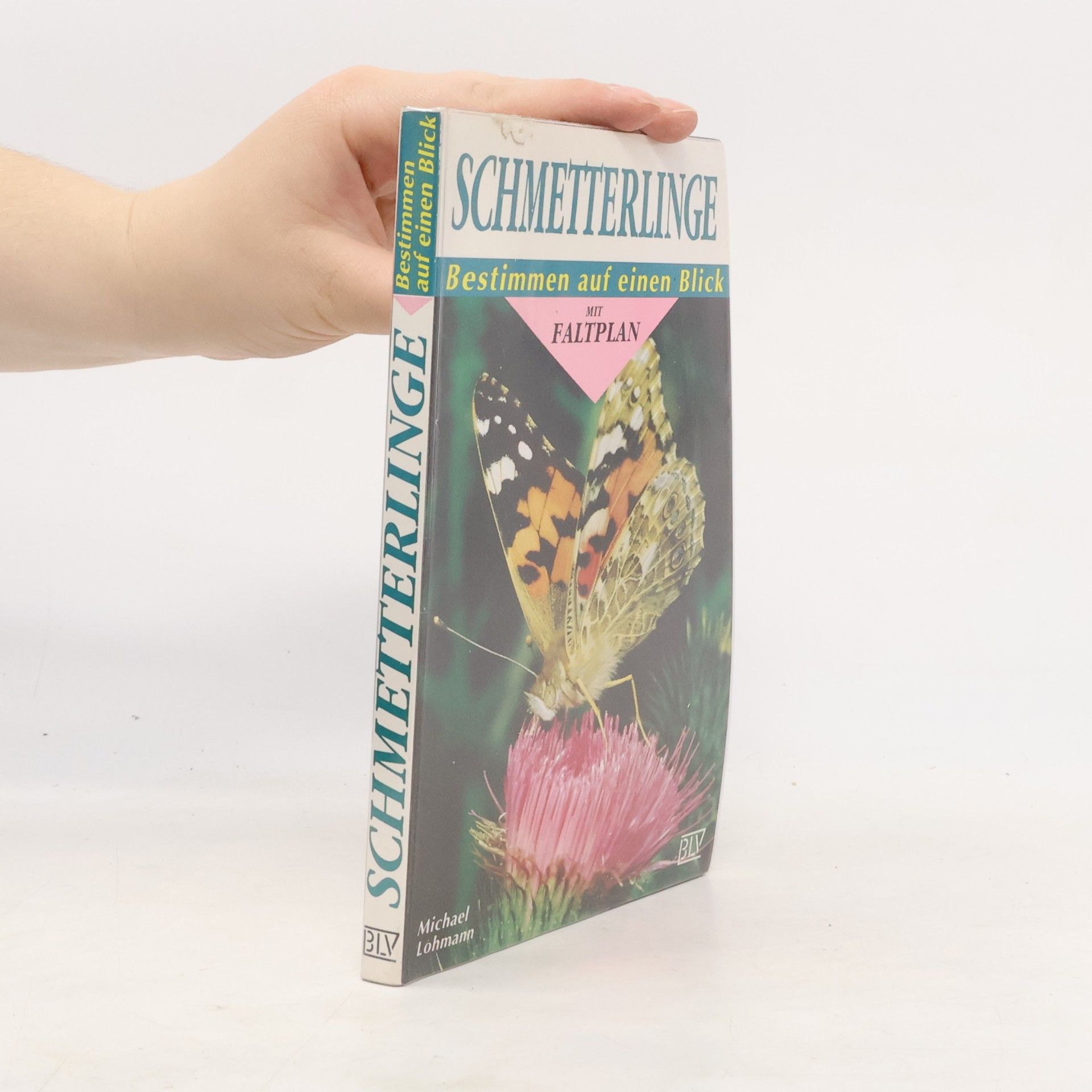 Schmetterlinge