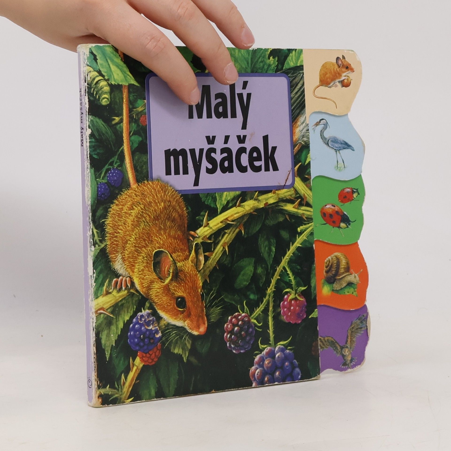 Peisertová Alena Malý myšáček