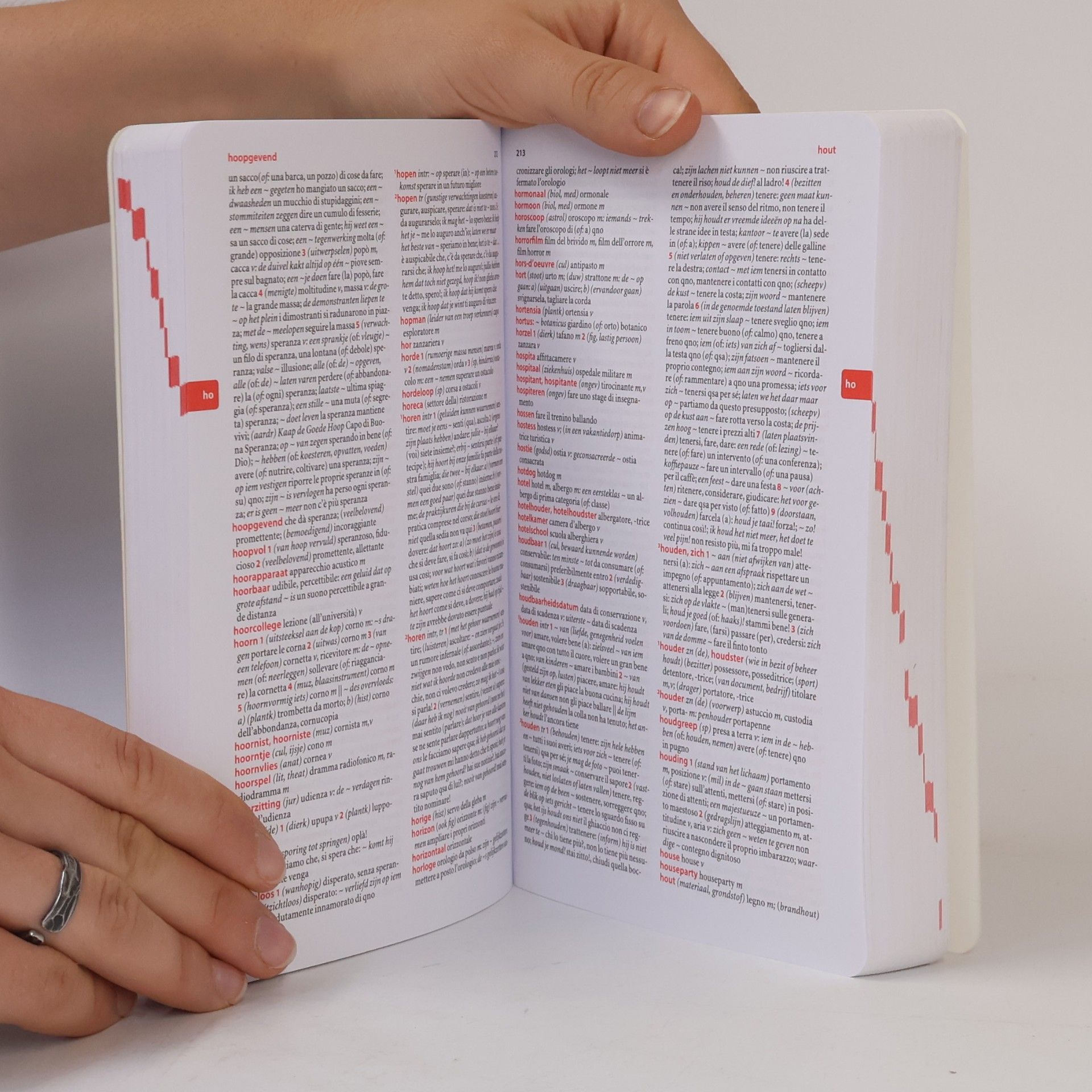 Vincenzo Lo Cascio Van Dale pocketwoordenboek Nederlands-Italiaans