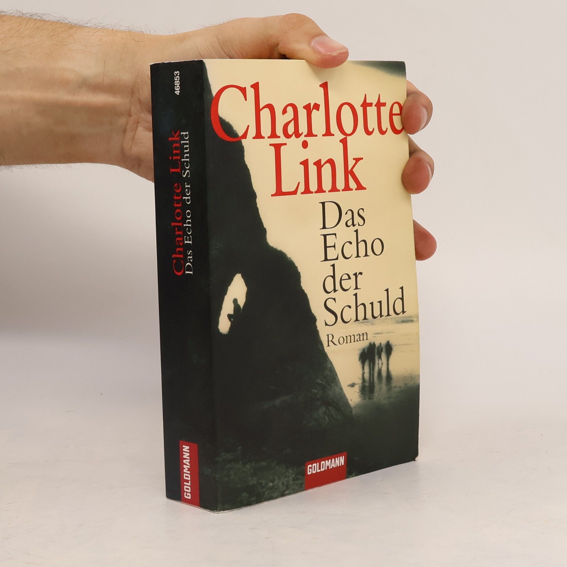 Charlotte Link Das Echo der Schuld