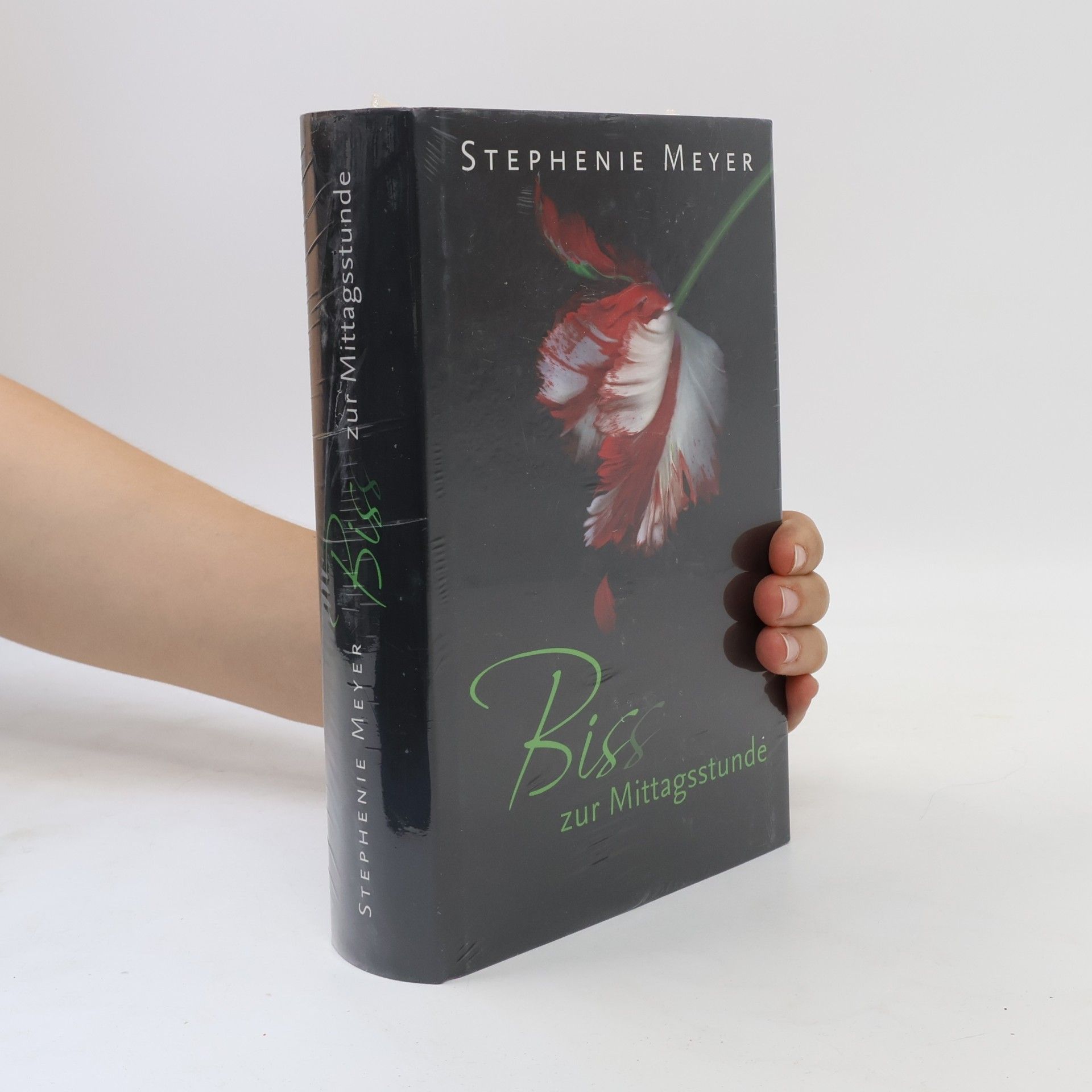 Stephanie Meyers Biss zur Mittagsstunde