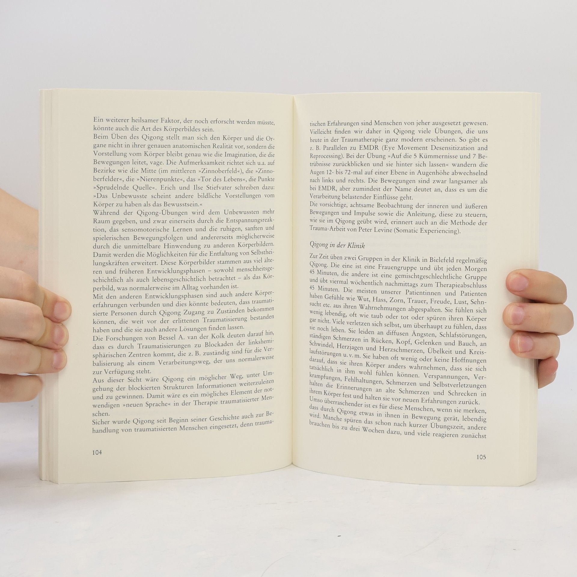 Luise Reddemann Imagination als heilsame Kraft