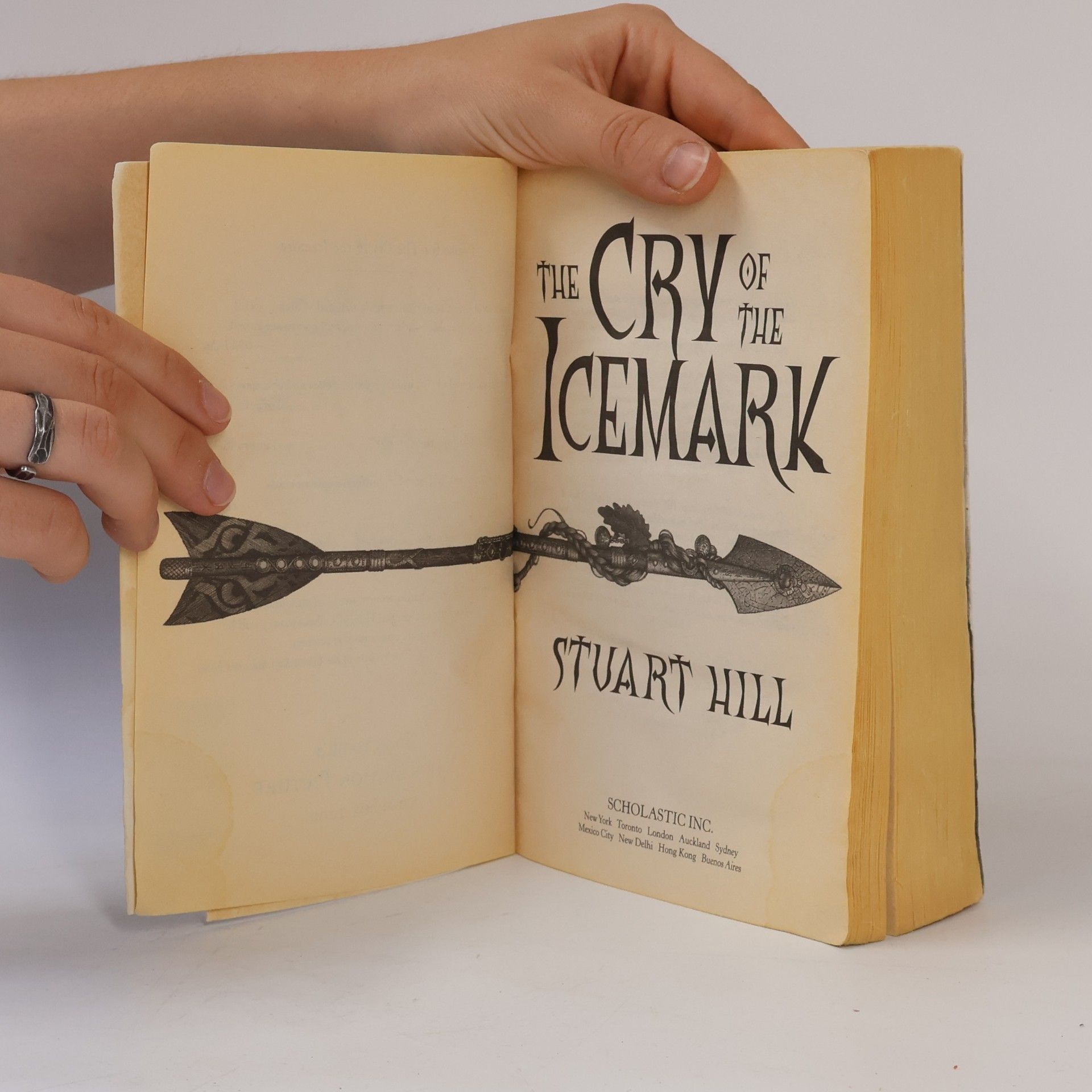 Stuart Hill The Icemark Chronicles - 1: The Cry of the Icemark