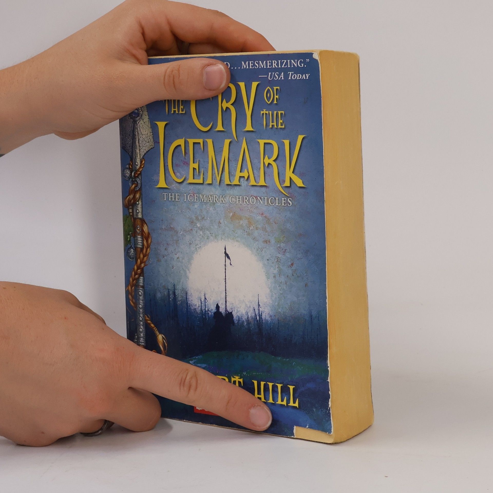 Stuart Hill The Icemark Chronicles - 1: The Cry of the Icemark