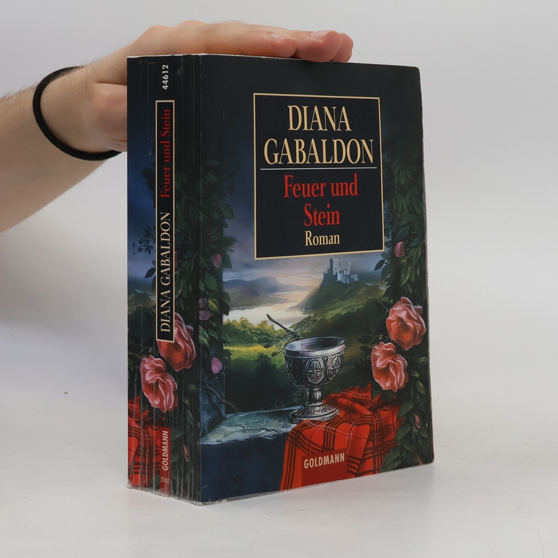 Diana Gabaldon Feuer und Stein